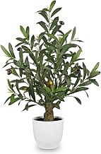 Künstliche Pflanze Deko Olivenbaum Künstlich 60cm Plastik Pflanze im Topf | Kunstpflanzen wie echt Zimmerpflanzen Künstlich Dekoplfanze mit Olivenzweige und Künstliche Früchte für Home Decor Wohnzimmer
