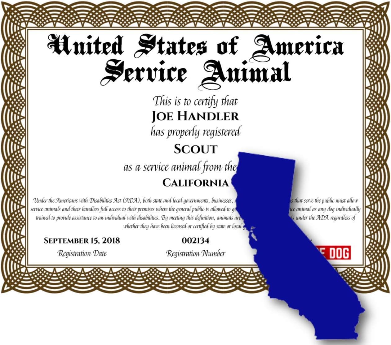 Amazon Com California Service Dog Digital Printed Certificate Pet Supplies