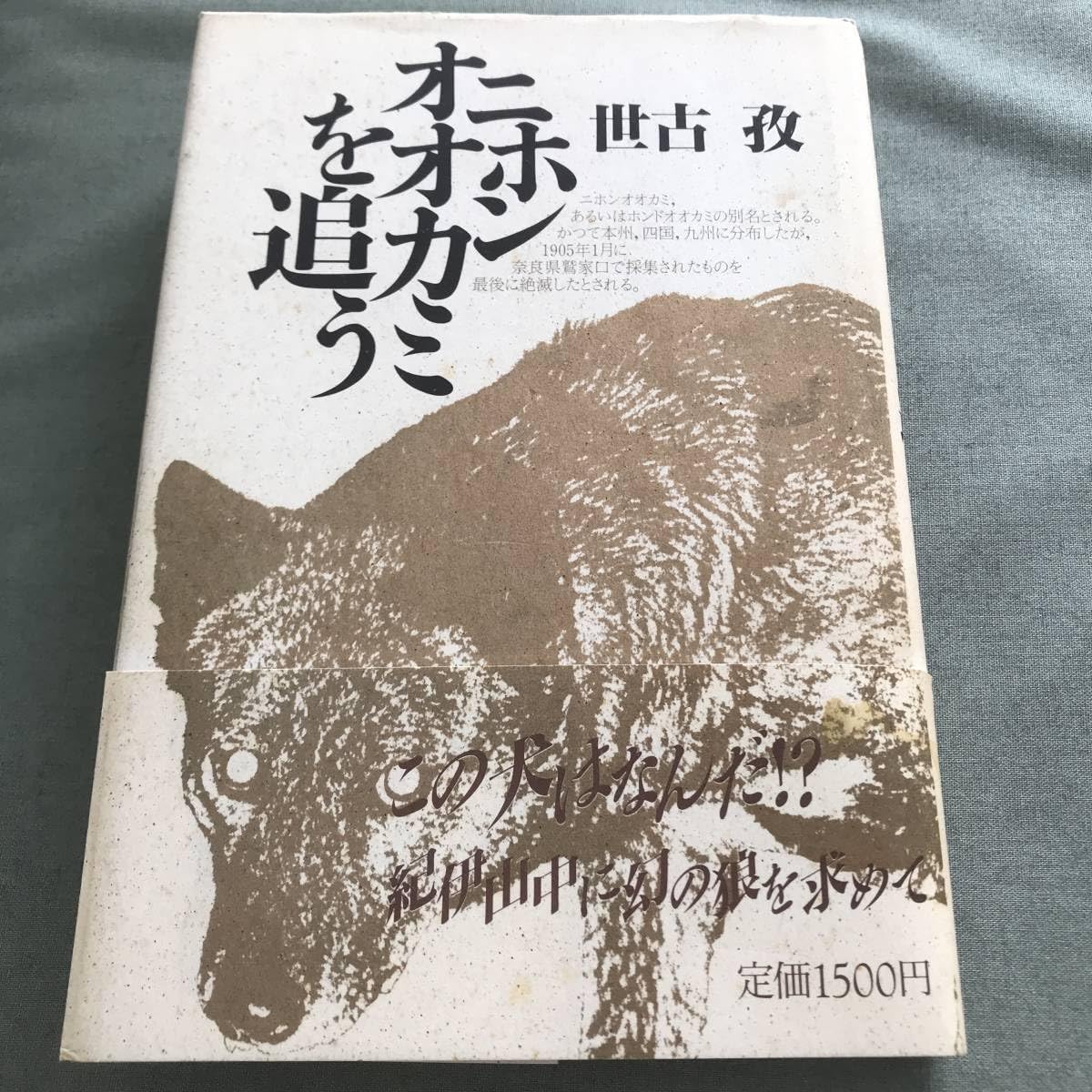 岸岱筆「月夜に枯野走狼図」 紙本掛軸 天保12年(60歳)の作