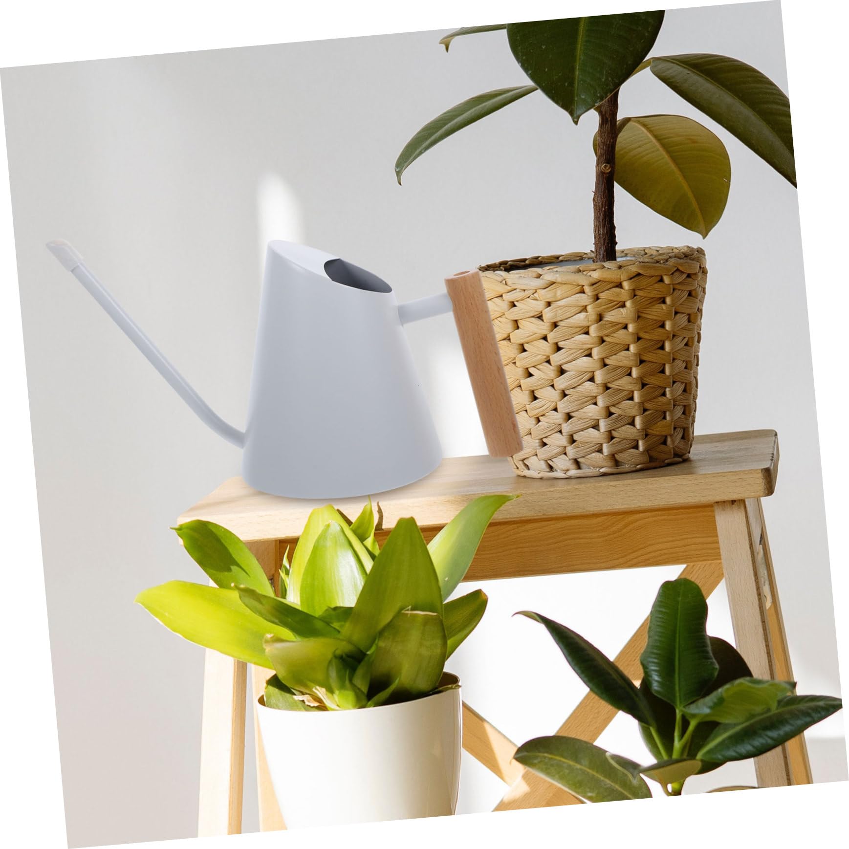 ORFOFE Arrosoir Acier Inoxydable avec Poignée Bois pour Plantes Intérieur Et Extérieur Outil Précis Et Élégant pour Fleurs Et Succulentes