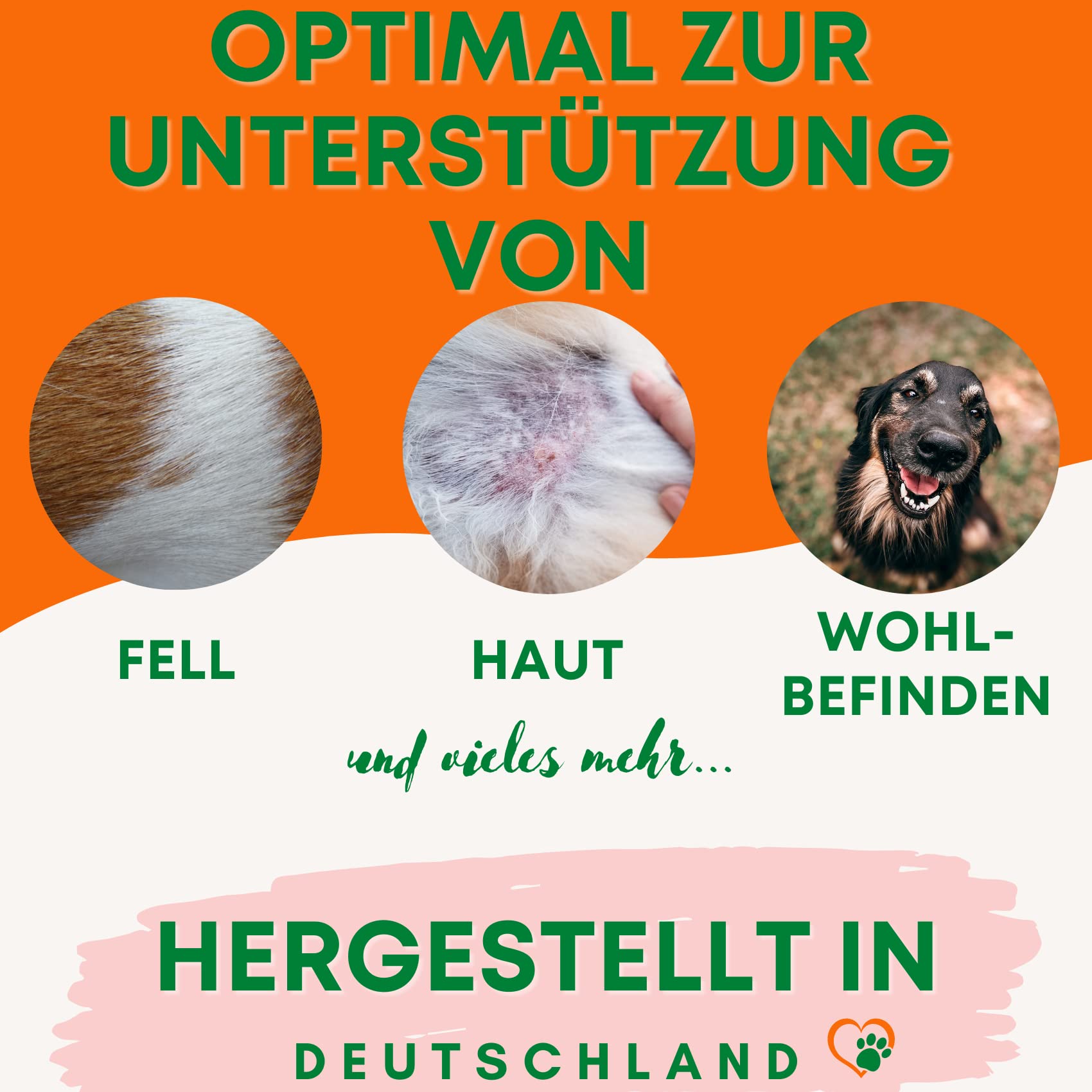 Dorschlebertran Für Hunde & Katzen 1 Liter I Natürlicher Barf Öl Zusatz - Dorschöl Für Hunde Mit Viel Omega 3 (EPA + DHA) & Vitaminen I In Recyclebarer Dose