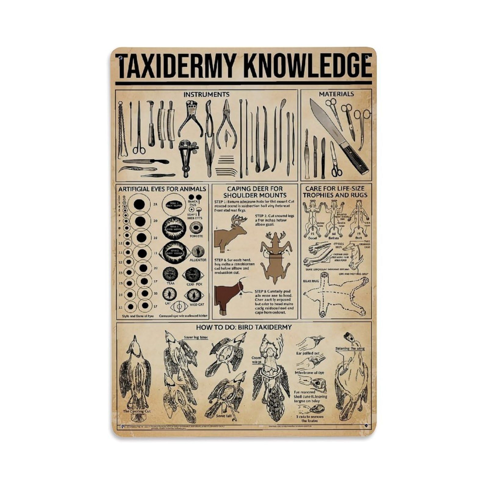 Jdyaojiesheng Vintage Taxidermy Knowledge Guide Poster Tin Sign Retro Metal Wall Decor Metal Poster, Home Bar Garage Farmhouse Cafe Wall Art Decoration 8X12inches