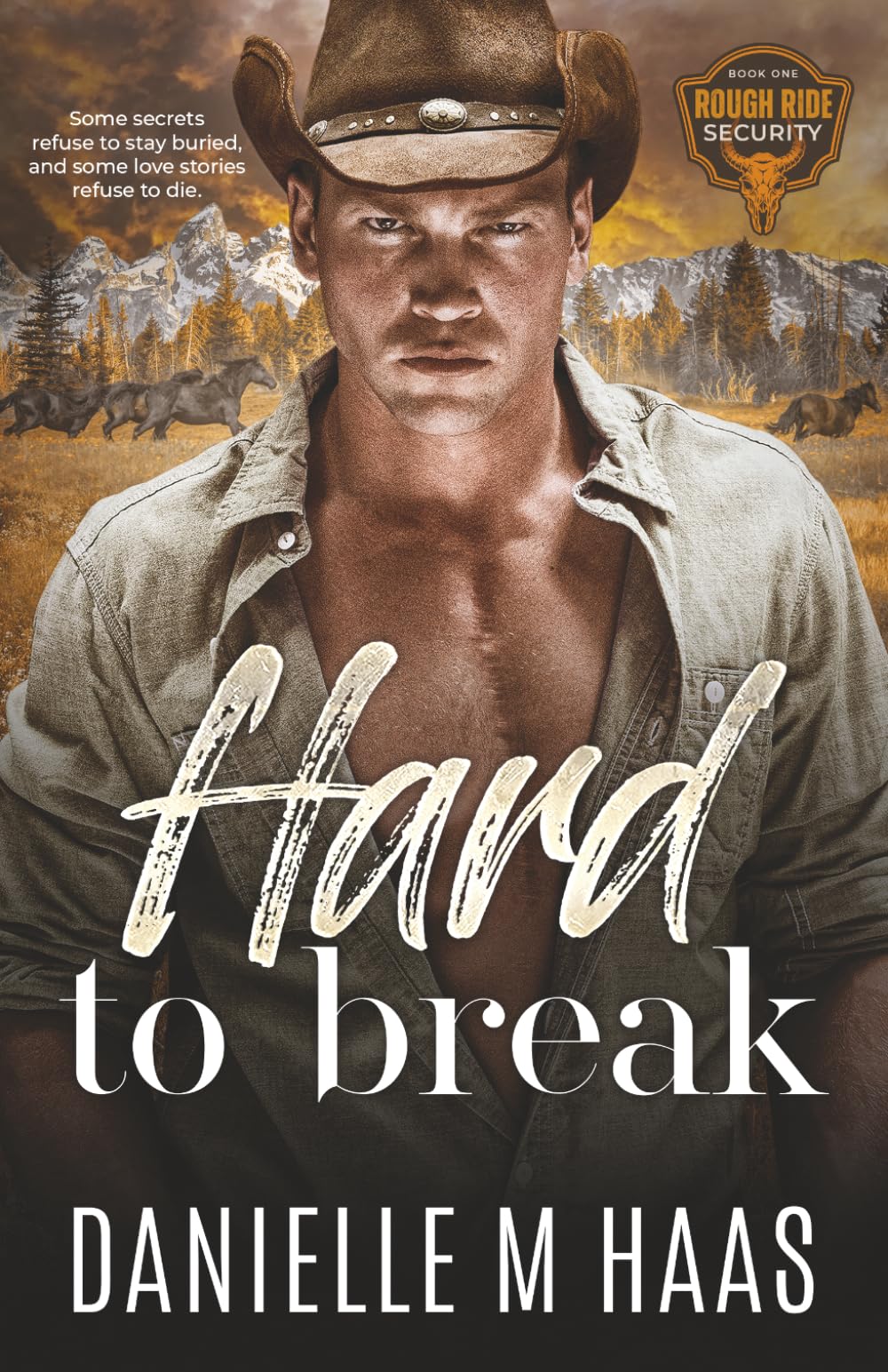 Hard to Break (Rough Ride Security)