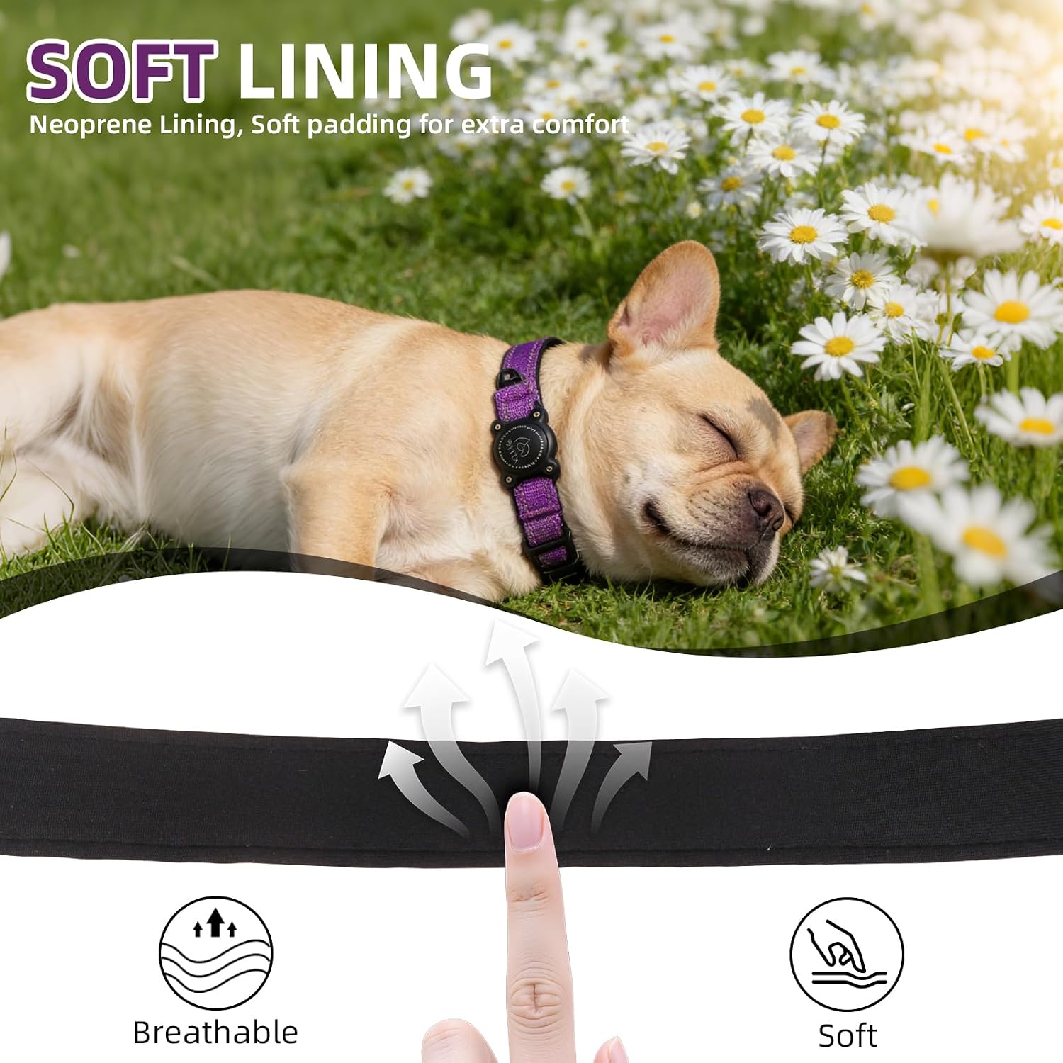 Dog Collar with AirTag Holder, Heavy Duty, Reflective, Purple, XS image 5