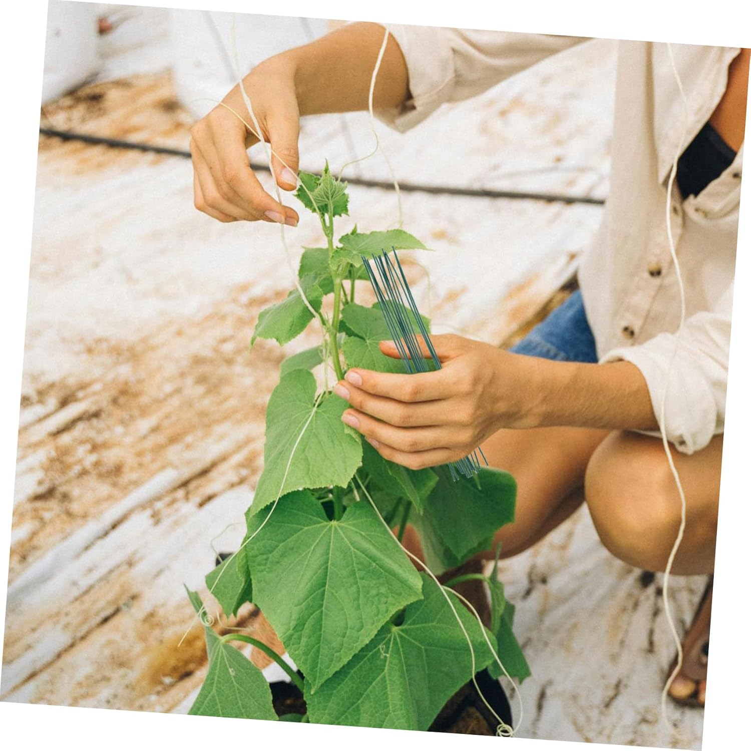 Yardwe 4000pcs Flexible Twisted Ties for Gardening Plant Binding Wire for Tomato Raspberry and Vine Support Reusable Green Plant Fixing Ties