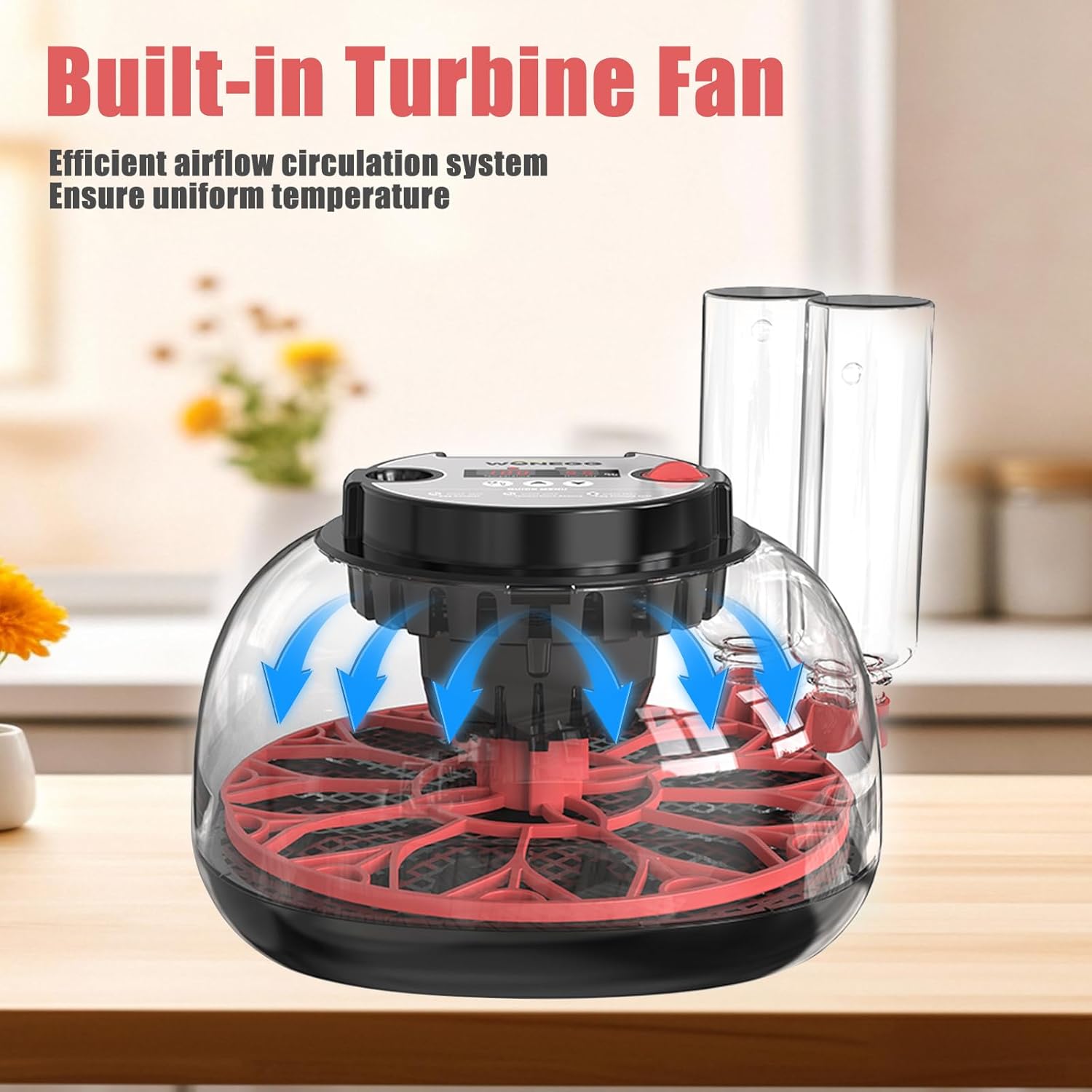 Incubators for Hatching Eggs, 12 Egg Incubator with Automatic Egg Turning and Humidity Control, 360° View Incubadora De Huevos De Gallina, Egg Candler, Incubator for Chicken Eggs, Ducks, Goose, Quail