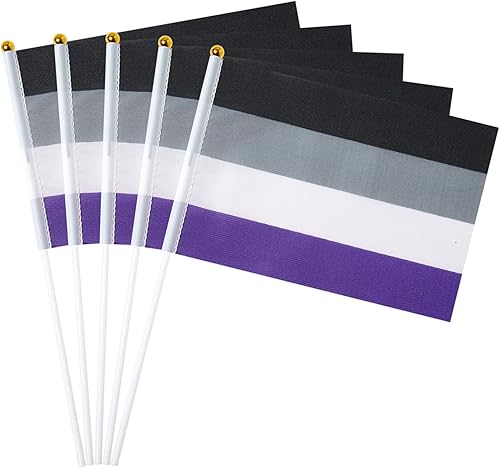 Vista 25 de GentleGirl Paquete de 12 banderas de arco iris del orgullo arcoíris, pequeñas banderas de mano gay LGBT Festival fiesta desfiles decoraciones Bander