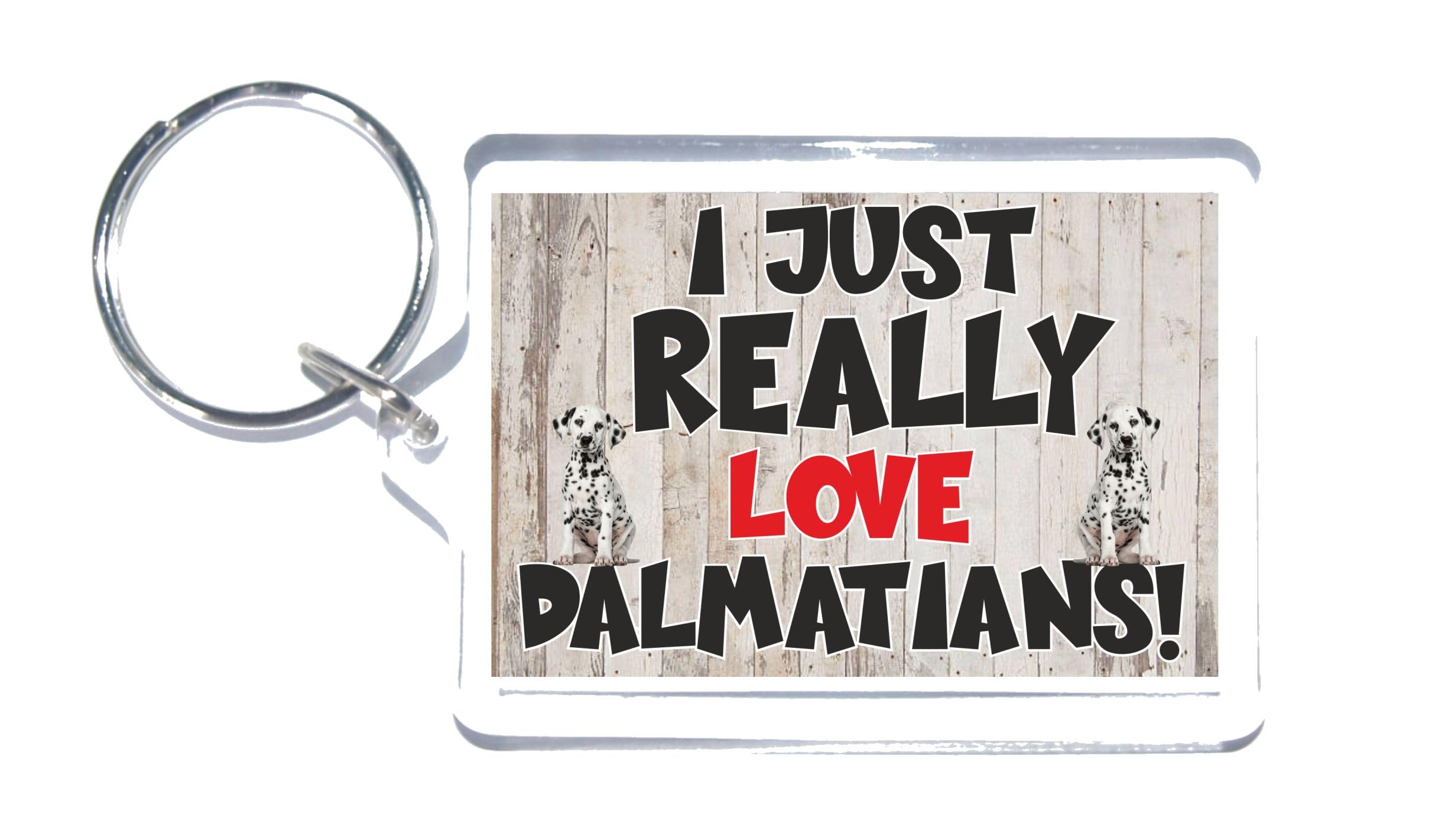 Nice Dog Gift – I Just Really Love Dalmatians – Novelty Keyring