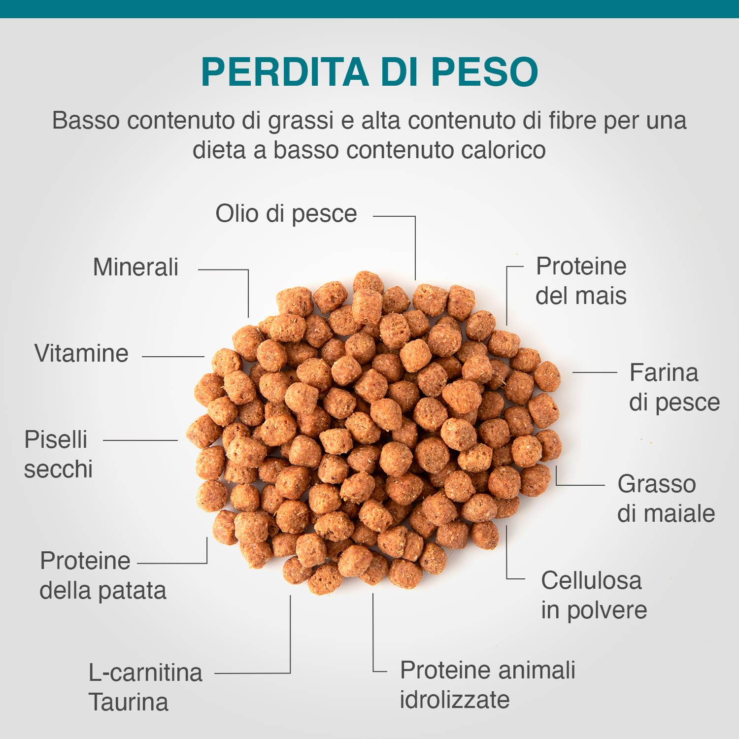 SPECIFIC® Weight Reduction (FRD) 6 Kg - Cibo secco dietetico per gatti in sovrappeso - Ridotto contenuto di grassi e calorie - Adatto per gatti diabetici - DECHRA Veterinary Products