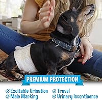 Vista 5 de Bodhi Dog Disposable Male Dog Diapers - Super Absorbent, Leak-Proof Pee Wraps - Adjustable Fit, Comfortable Design, Advanced Moisture Control, and