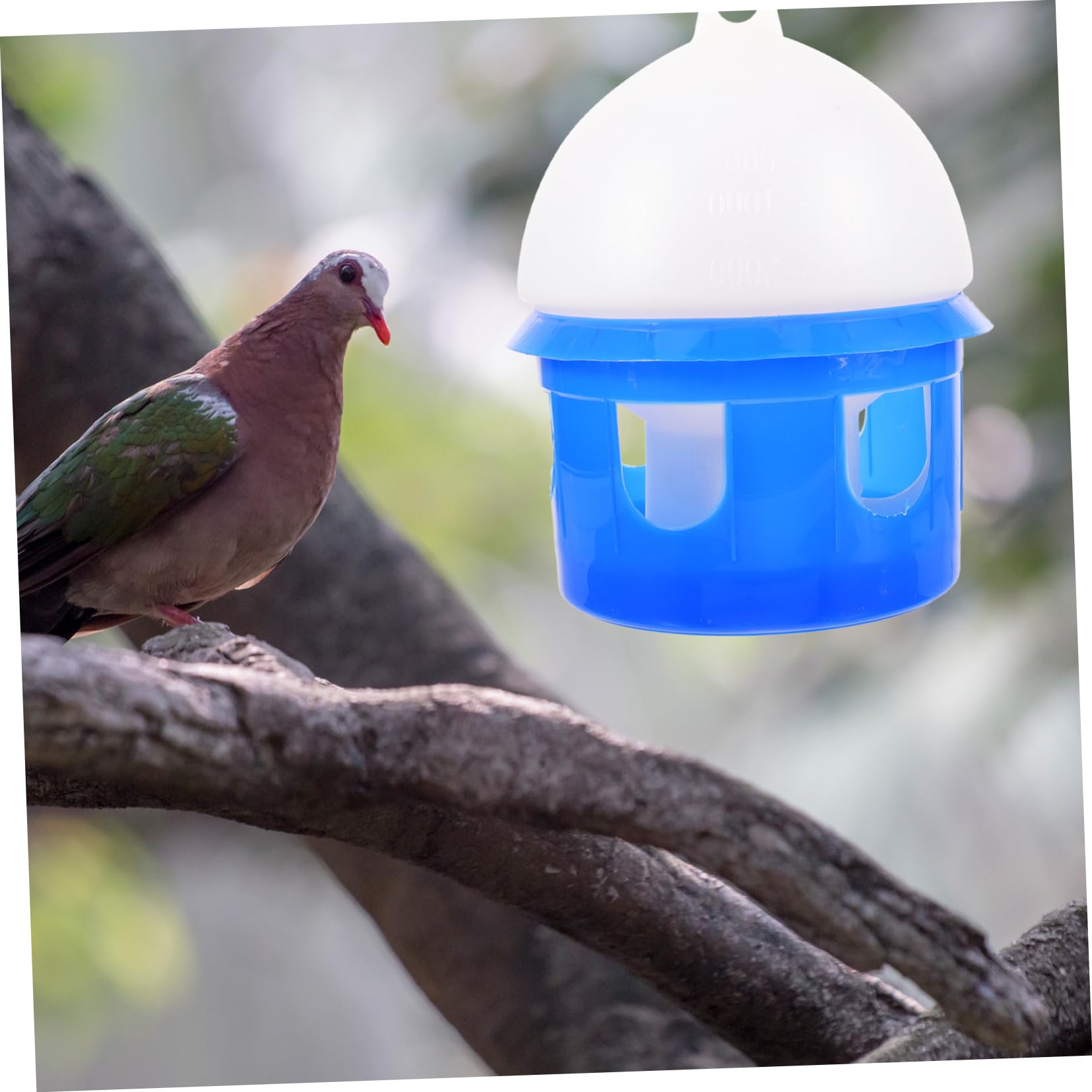 POPETPOP Automatischer Trinknapf für Tauben 4L Kunststoff Blau Vogeltränke Garten Frostsicher