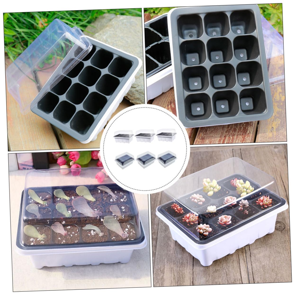 HEMOTON 2 Ensembles Boîte À Semis Entrée Plateaux Usine De Plein Air Plantes pour Plateau en Croissance Kit De Culture De Jardinières Plastique 6 Pièces * 2