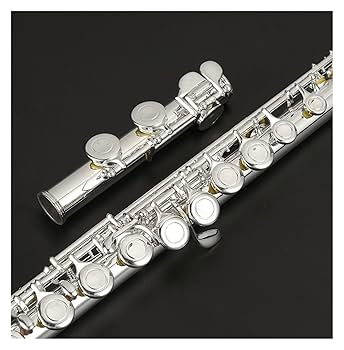 フルート　シルバー　初心者向け　楽器 フルート シルバー 初心者向け 楽器 フルート シルバー 初心者