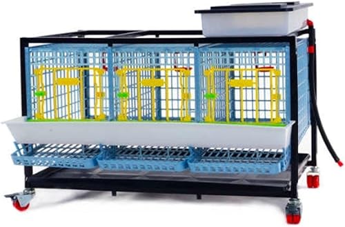 Jaula de pollo - 1 capa de altura 15" (lavable a presión, duradero, plástico ABS) Hatching Time