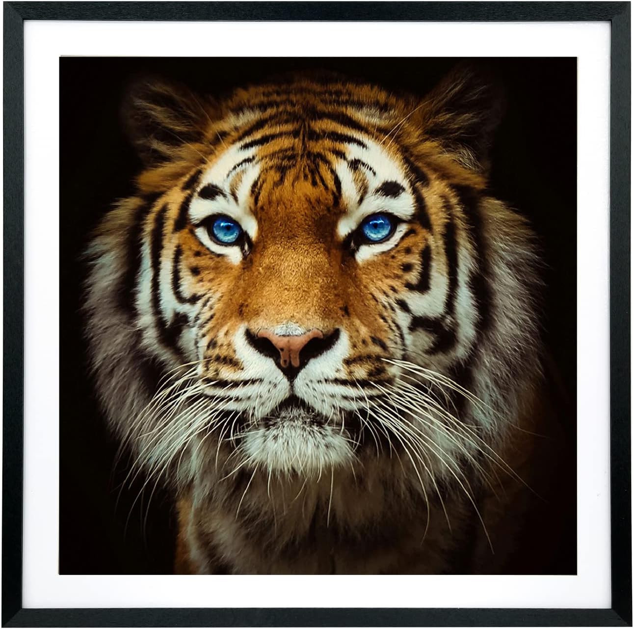 LTYHHK 16x16 Diamond Painting Frames 40x40cm Diamond Art Frame Display ltyhhk-16x16-diamond-painting-frames-40x40cm-diamond-art-frame-display