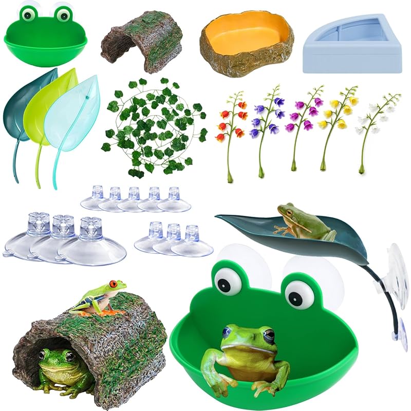 Kit de Acessórios para Terrário de Rãs com Esconderijo, Potes e Plantas Decorativas Enochainchin — 13 Peças
