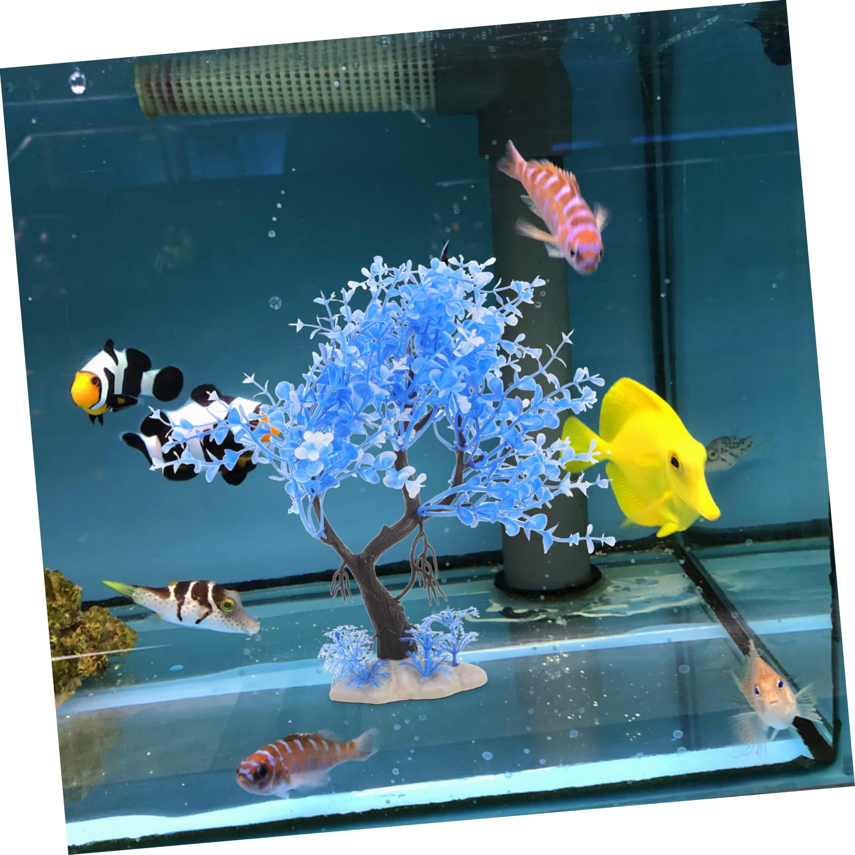 Zerodeko 4 Set Simulazione Di Piante Acquatiche Accessori Per Acquari Decorazioni Per Acquari Decorazioni Per Piccoli Acquari Piante D'Acqua Dolce Decorazioni UV Per 7 pezzi*4