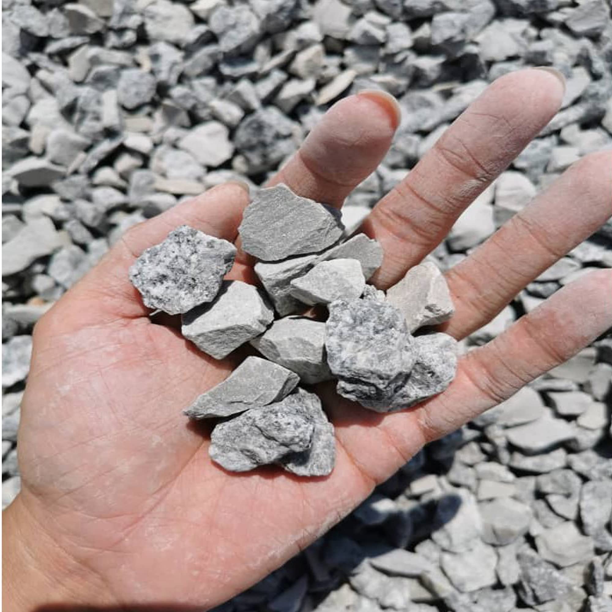 RED WIND Natural River Sand_5 Kg_for Plants Soil Mix_Cement Mix_Kids Play_Crafts_Home_Minor Construction Repairs_Multi Purposes RWBMC9 (B09RQL7WKB) Amazon Price History, Amazon Price Tracker