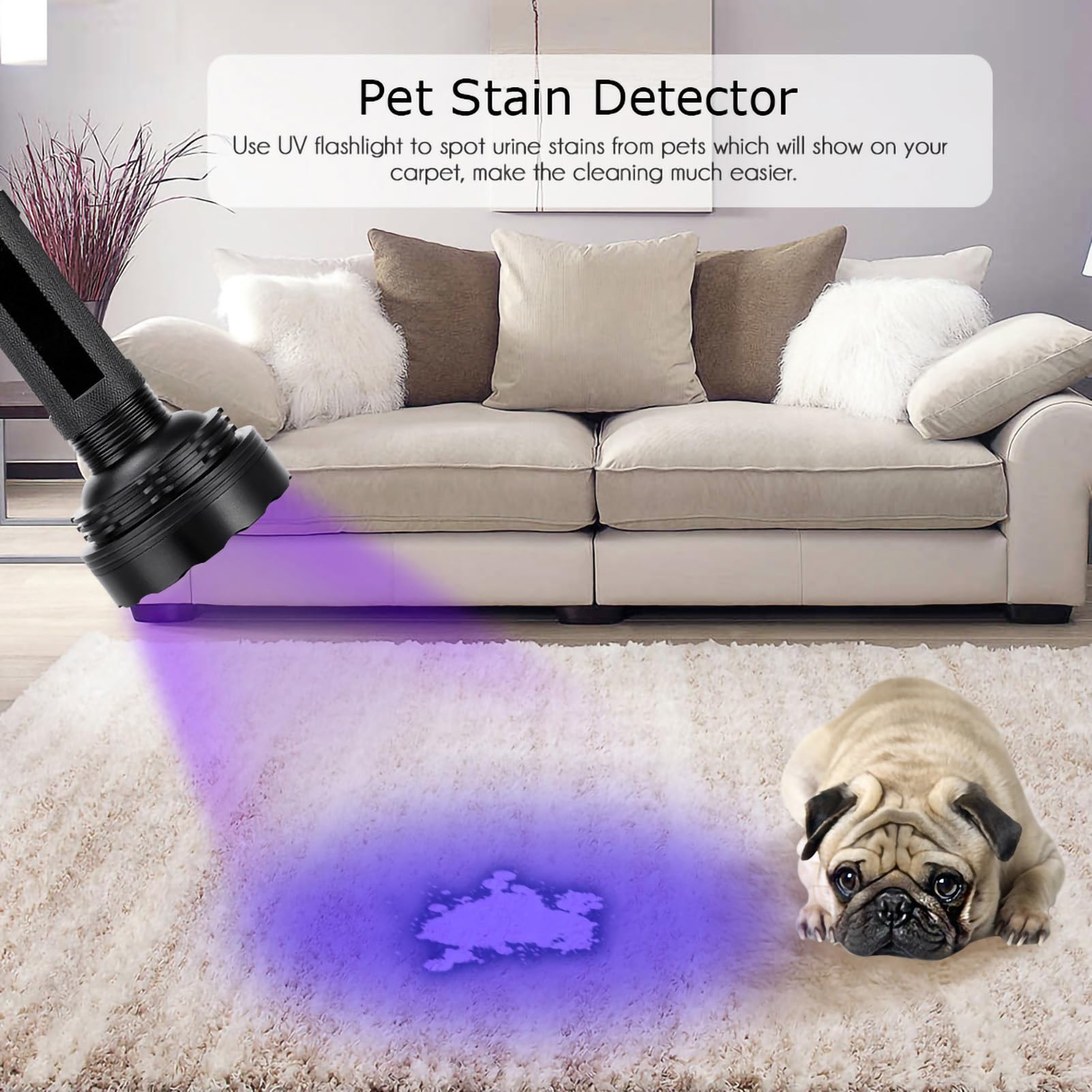 DOUQIFEI UV Flashlight Black Light - Image 3