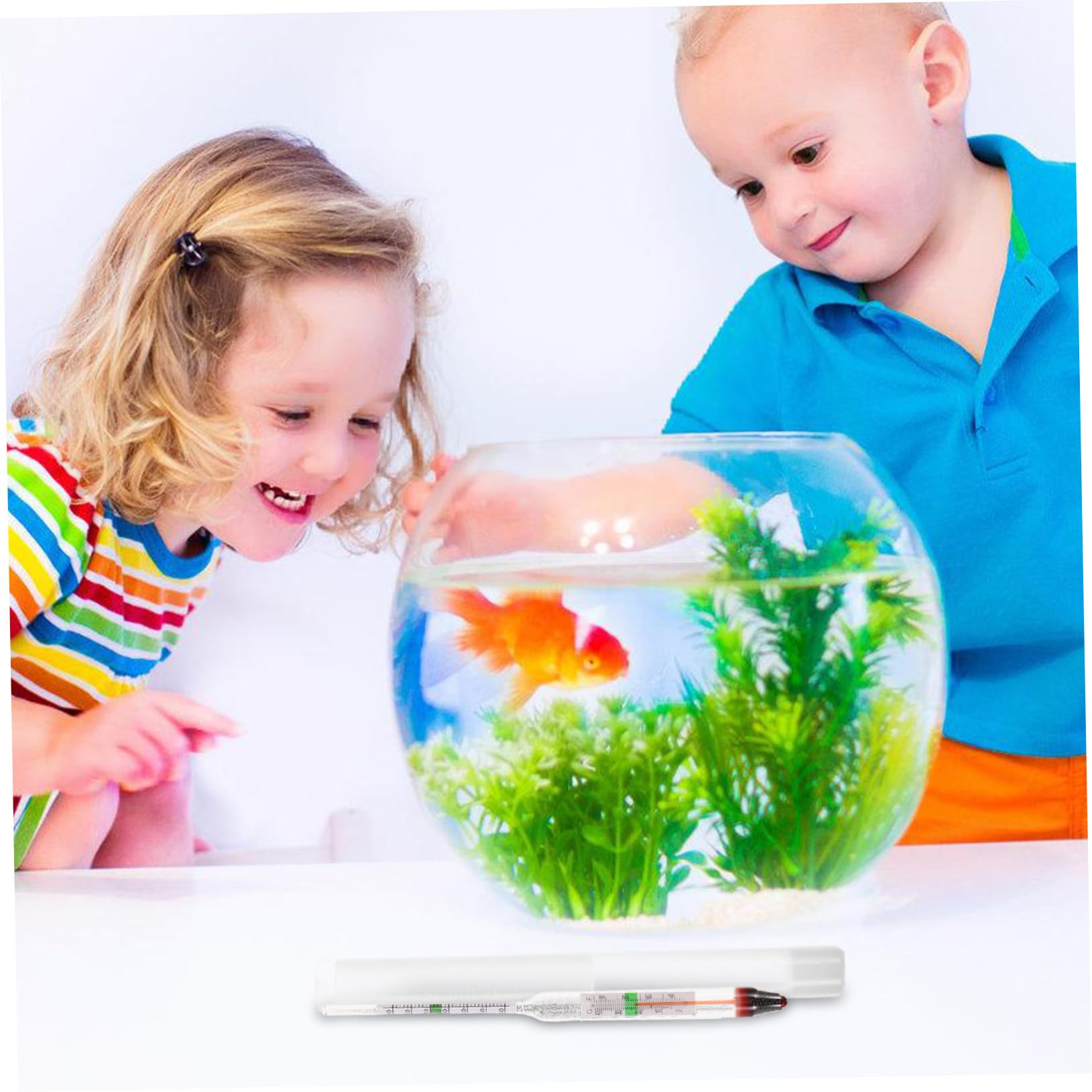 UPKOCH 10 Sätze Salzgehaltmesser für Meerwasser Messgerät Dichte Hydrometer digital Meeresaquarium Hydrometer Salzwasseraquarium Tank Salzwasser-Hydrometer Salzwasseraquariumzubehör Glas