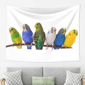 インコ好き必見✨ カラフルインコ 絵画 壁掛 インコ好き必見✨ カラフルインコ 絵画 壁掛 楽天市場】【楽天