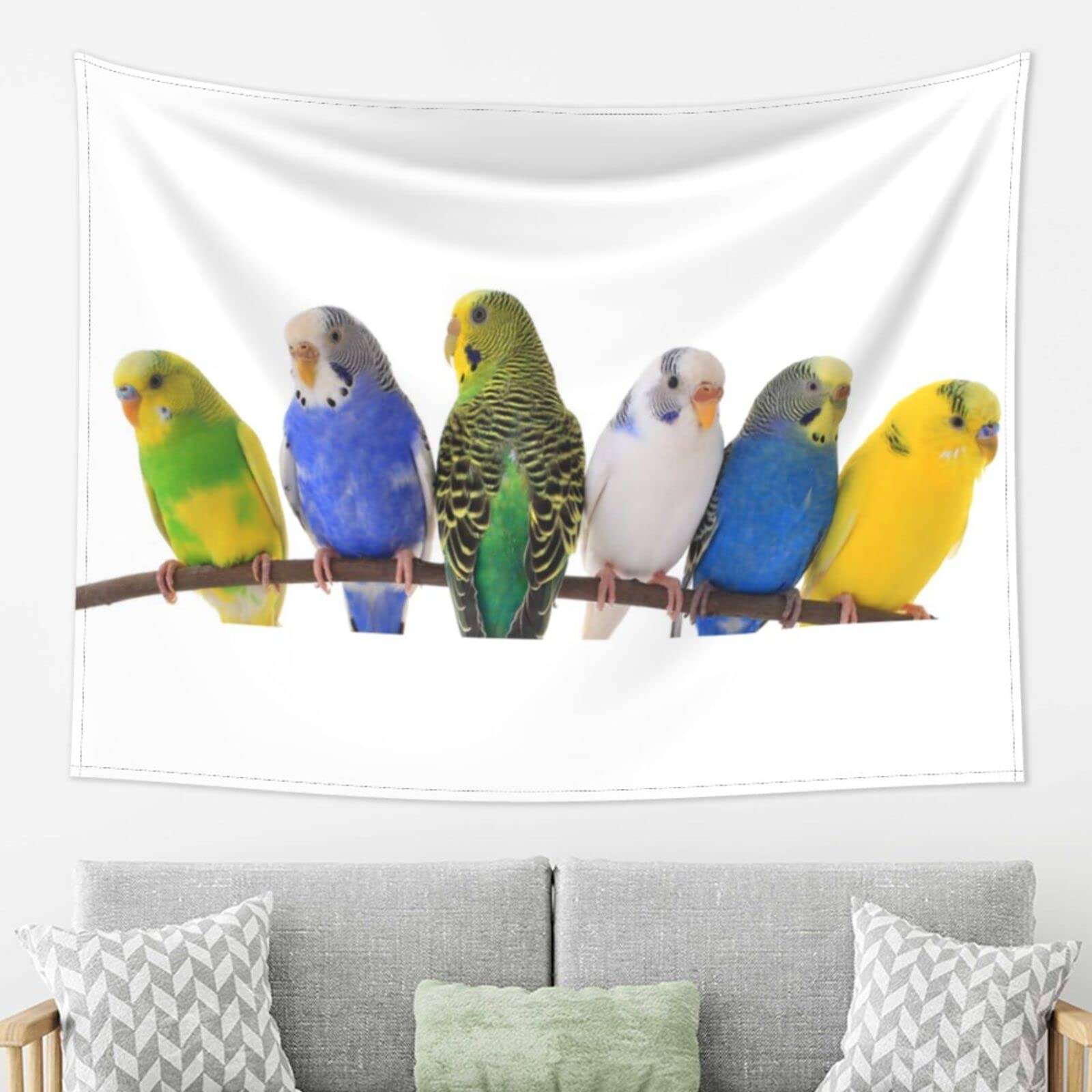 Amazon.co.jp: おしゃれな壁掛け セキセイインコ かわいい タペストリ