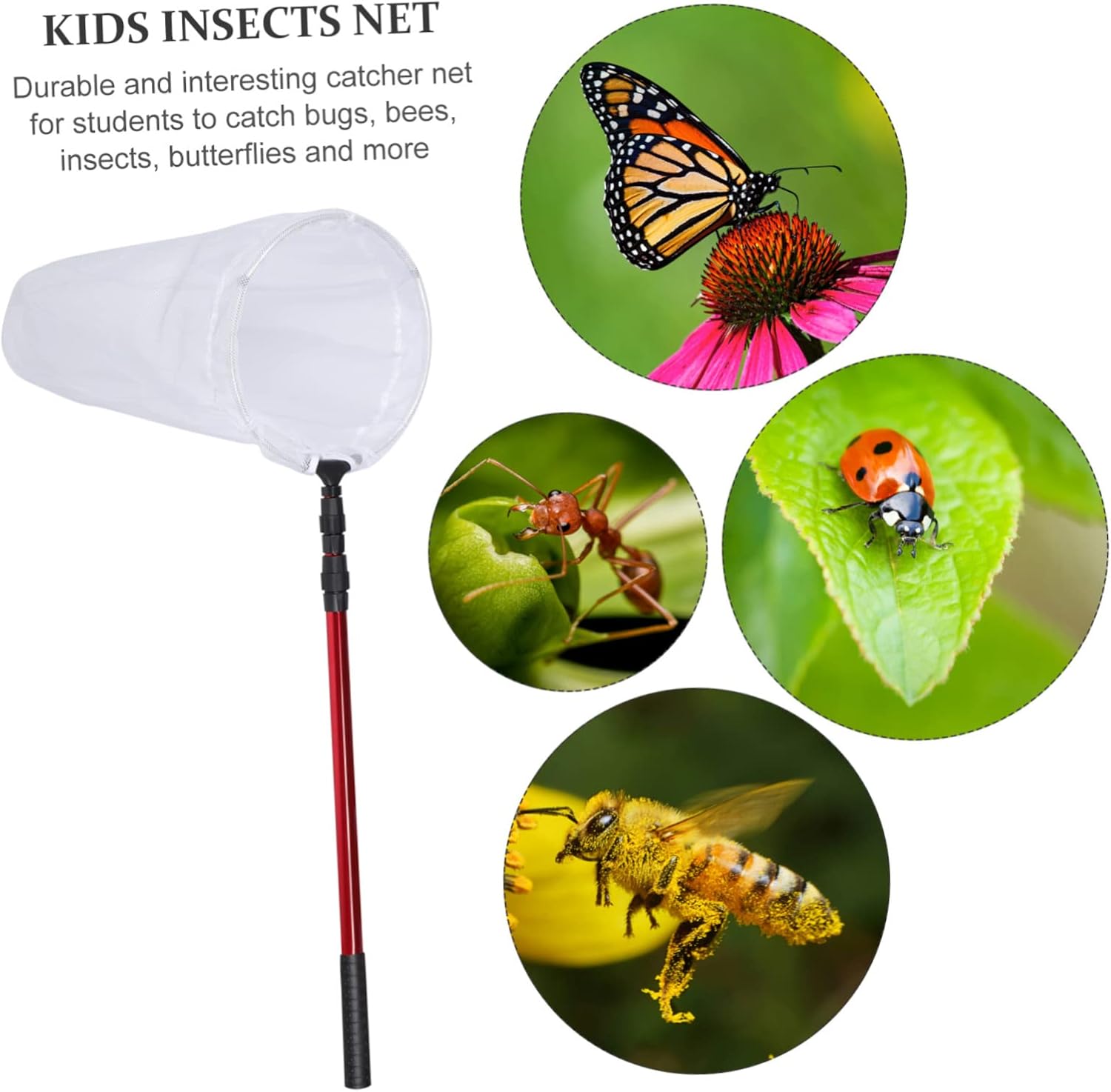 Toddmomy Telescopic Net Butterflies Catcher for Adults Mesh Net for Nature Exploration Fishing Activities Lightweight Design