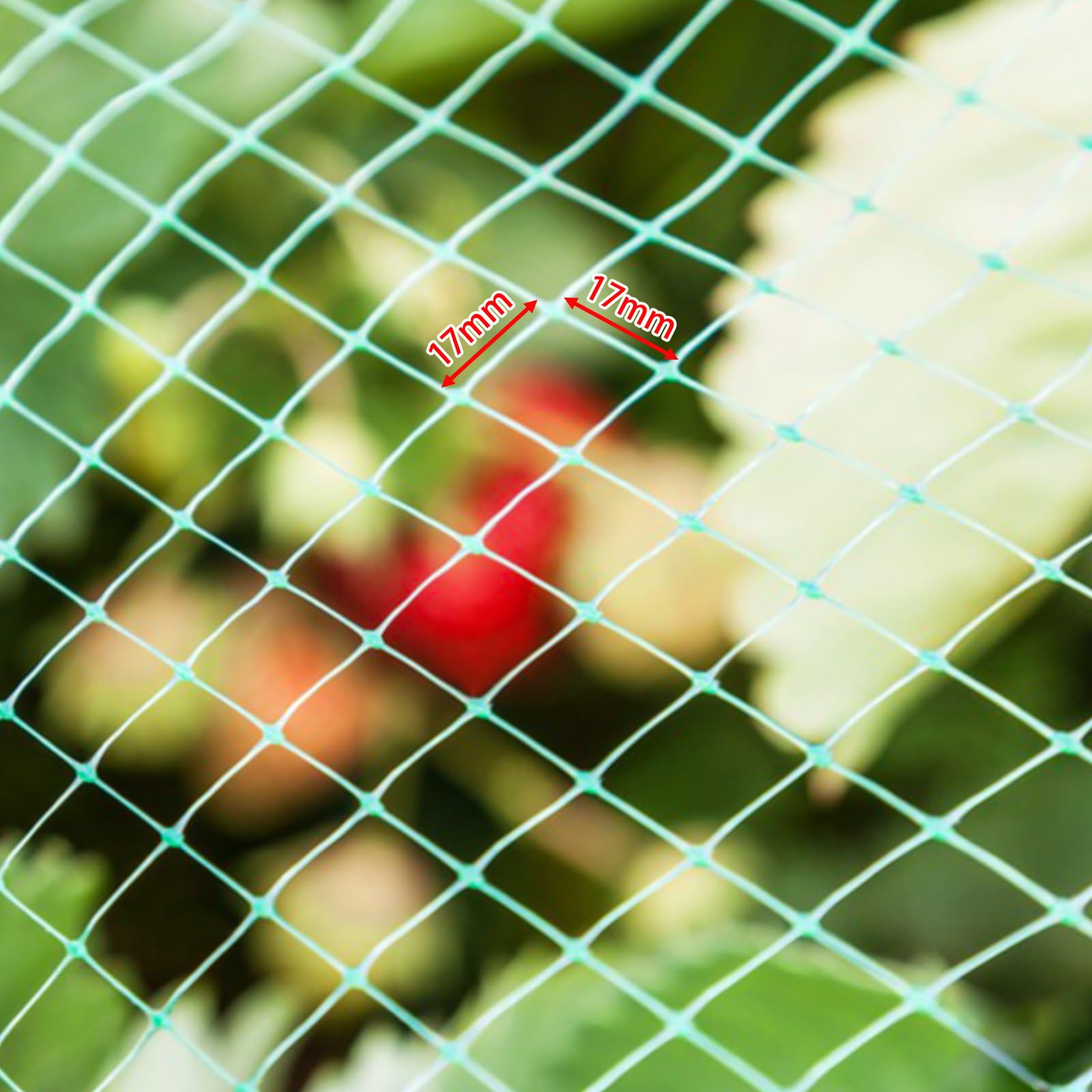 Rete di protezione per uccelli, 8 m x 10 m, per giardino e aiuole rialzate, protezione efficace da piccioni e altri uccelli, a maglia stretta e stabile per alberi da frutto, fragole e ciliegio