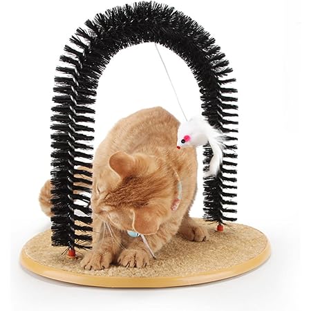 Amazon.com : Cat Scratcher, Cat Brushes for Indoor Cats, Cat Arch Self