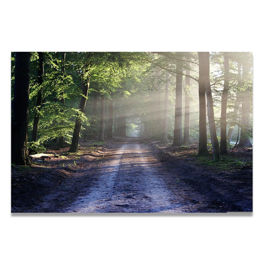 VHdfgTY The Sunlight Is DazzlingLarge Mountain Landscape Canvas Wall Art Nature Scenery for Home Decor 50x75cm Unframed