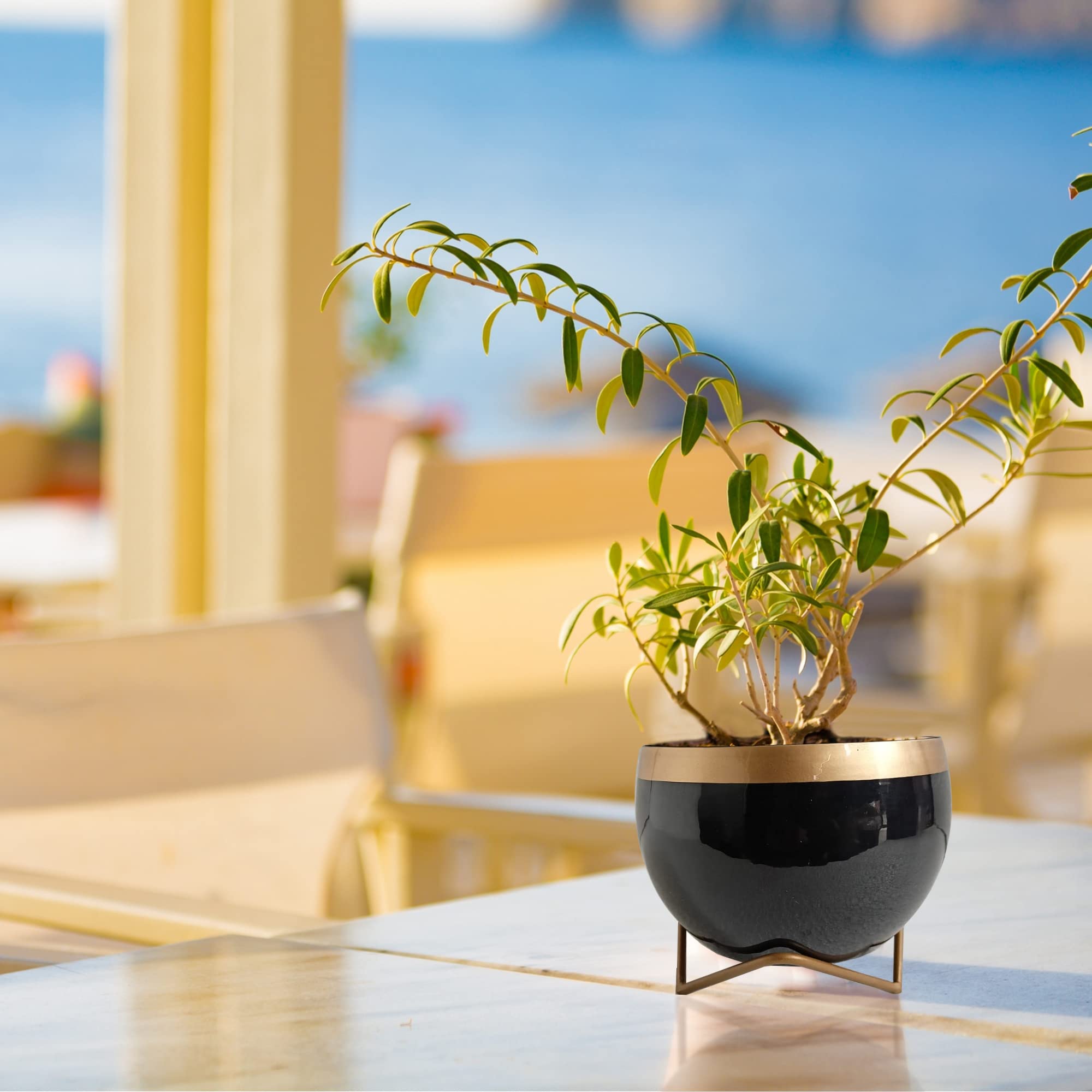 ecofynd Elis White Planter Pot & Stand - Modern Garden Decor -15