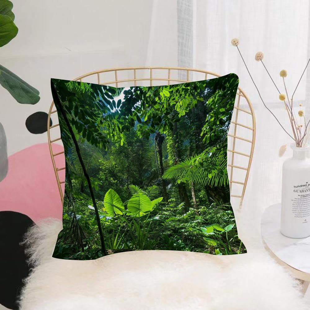 HYOSXW Cushion Cover,Throw Pillow Case Home Decorative for Living Room Bedroom Sofa Chair 16X16 Inch,Green plant intact jungle Nature Concerns,Pillowcase 40X40cm
