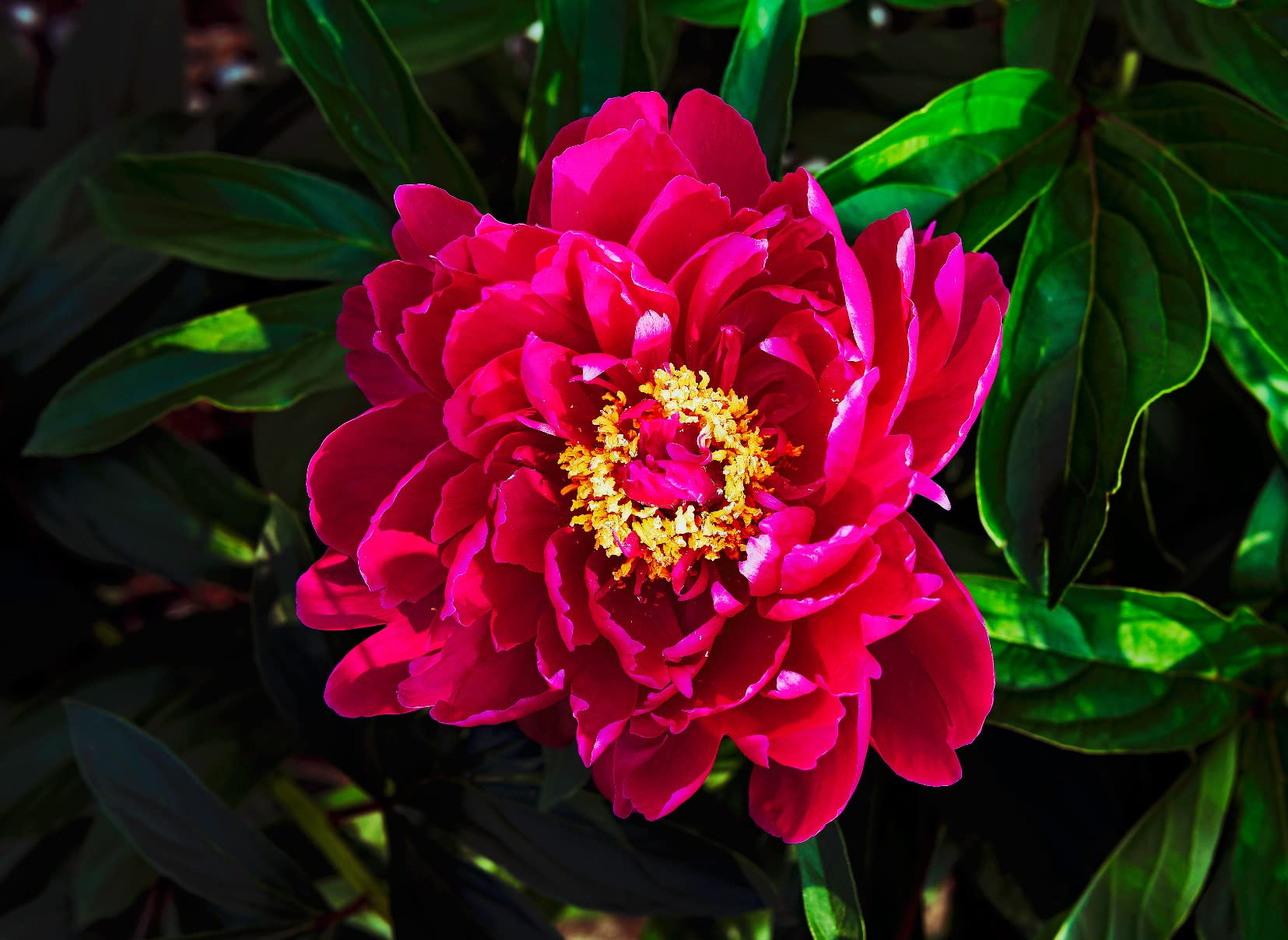 A gem ... sharp, sharp