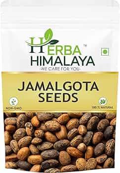 Herba Himalaya Jamalgota Seeds For Hair - Croton Seed | Croton Tiglium Seed | Jamalghota Seed | Jamalgota Beej | Jamalghota Beej | Jamal gota Seeds | ...