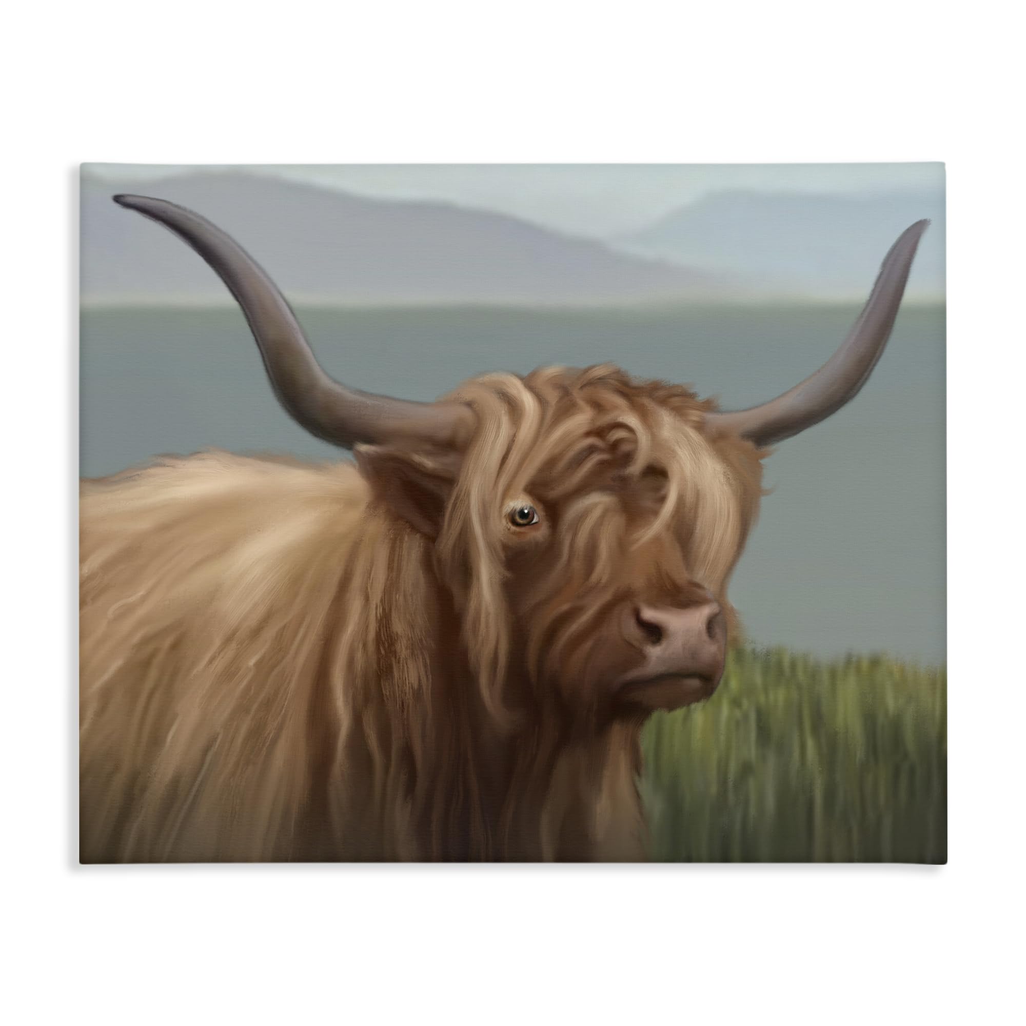 Stupell Industries 'Scottish Highland Cattle Landscape', Canvas Art, 20 x 16 Inches, Easy to Hang and Sturdy, Made in USA, by Matthew Piotrowicz