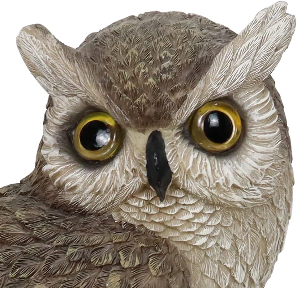 Liffy Solar Powered Owl's House Resin Garden Statue,Hand Painted Owl Welcome Sign Patio Lawn Yard Art Ornaments,Outdoor Indoor Figurine Decorations Housewarming or Birthday Gifts : Everything Else