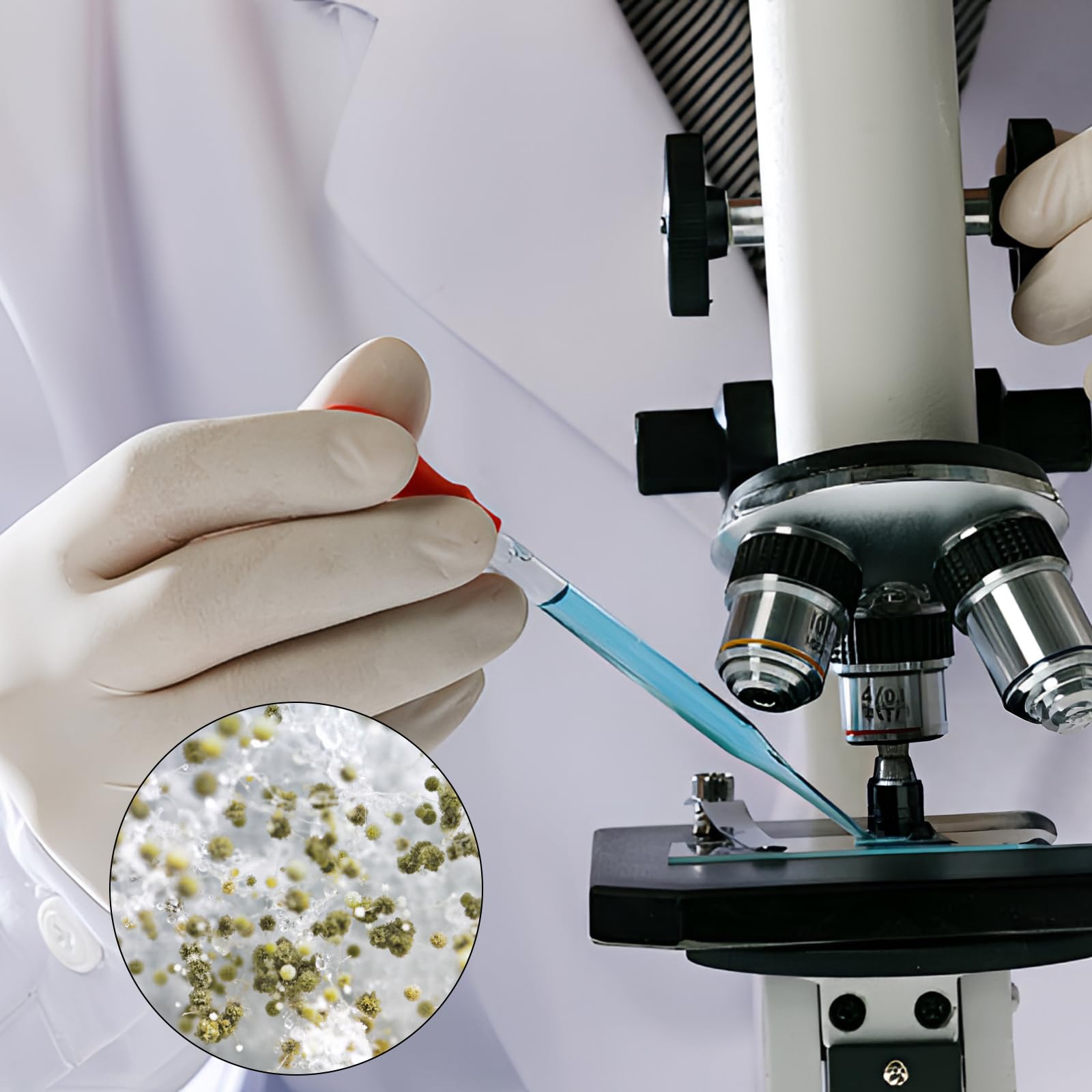 HATANSE Kit Lames Et Verres Microscope - 50 Lames Pré-nettoyées + 100 Verres Couvre-objet Pour Étude Biologie Et Laboratoire