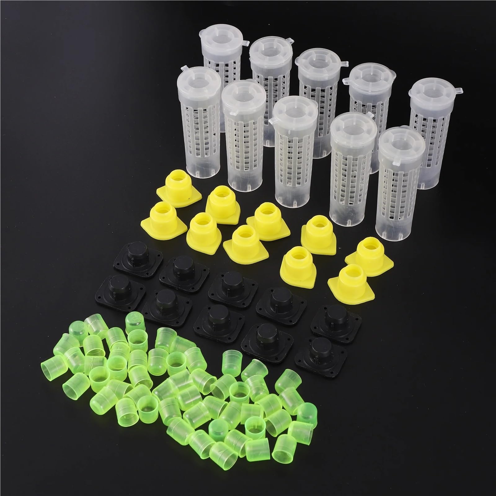 Lot de 5 cages cellulaires pour apiculture, transport de prisonniers