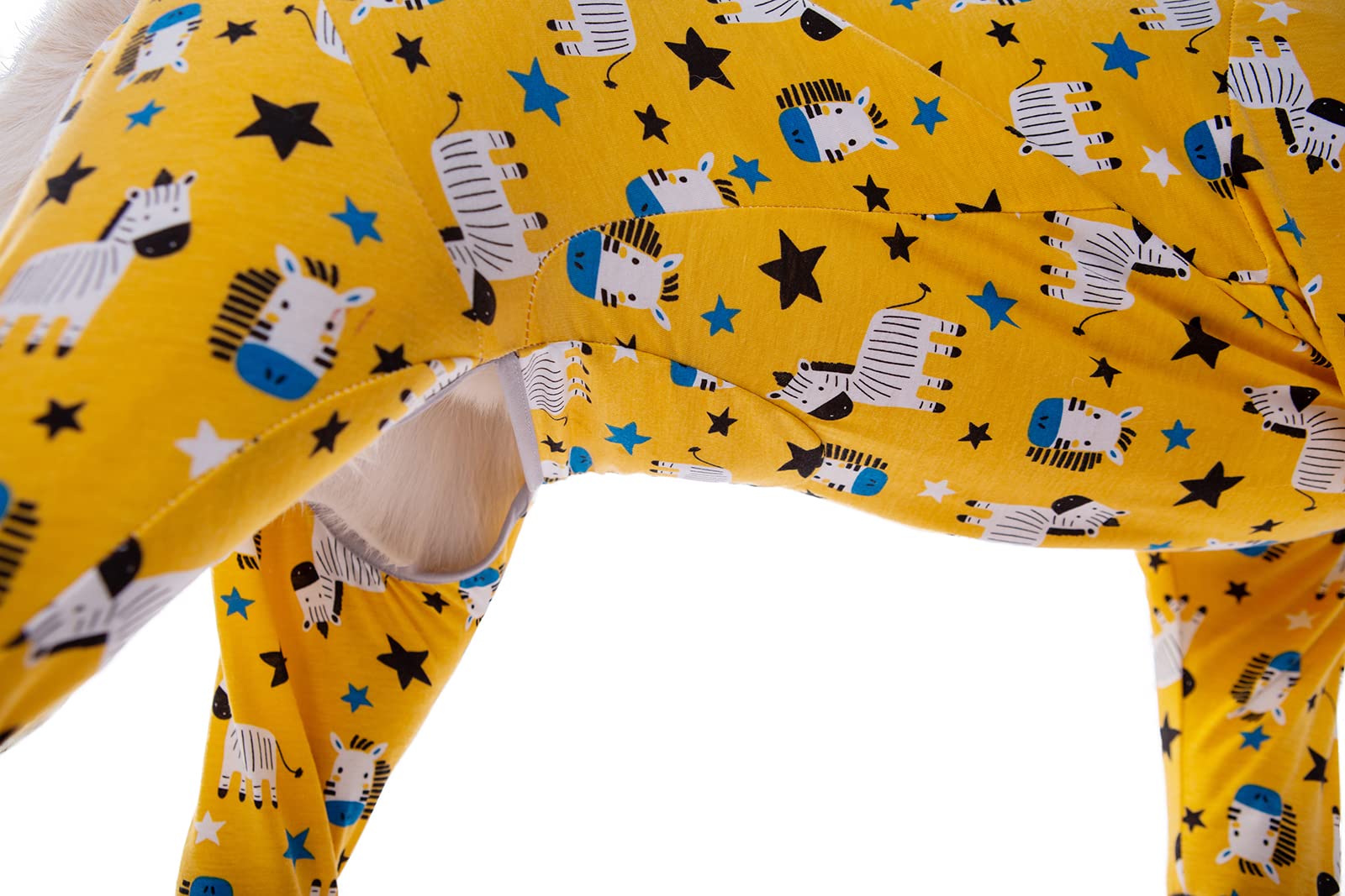 View 4