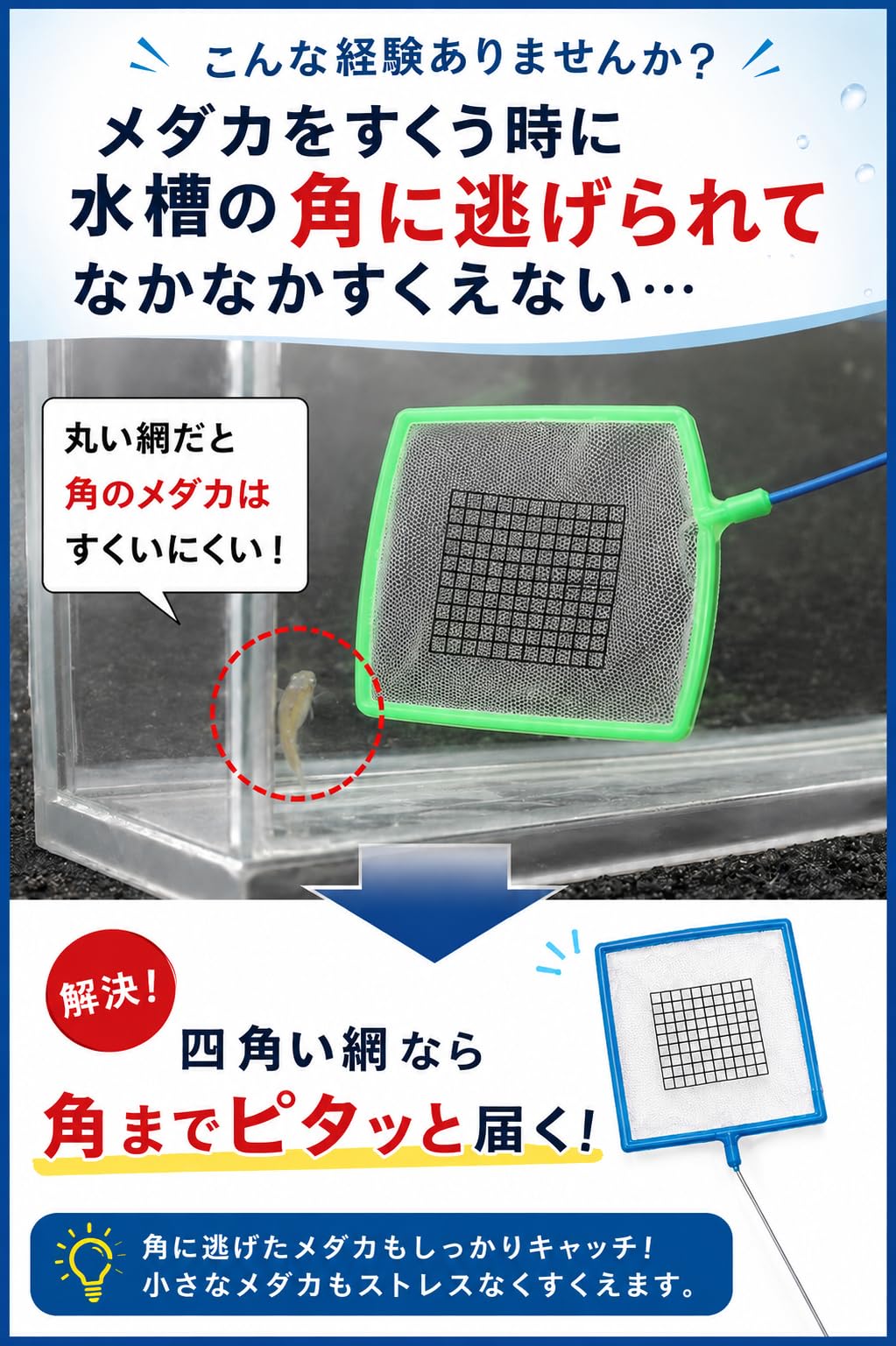 Amazon.co.jp: 【測定職人】メダカ 四角選別網 サイズ分け ミジンコ