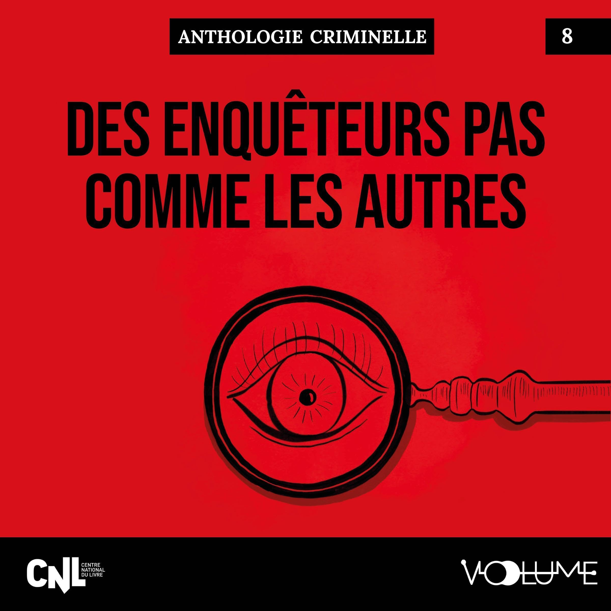 Cover art for Des enquêteurs pas comme les autres