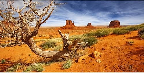 Miniatura 3 de Leyiyi 30x12 pulgadas Arazona Mountain Cactus Fotografía Fondo Desierto Puesta de Sol Cumbre Western American Viajes Senderismo Desierto Flora Nube