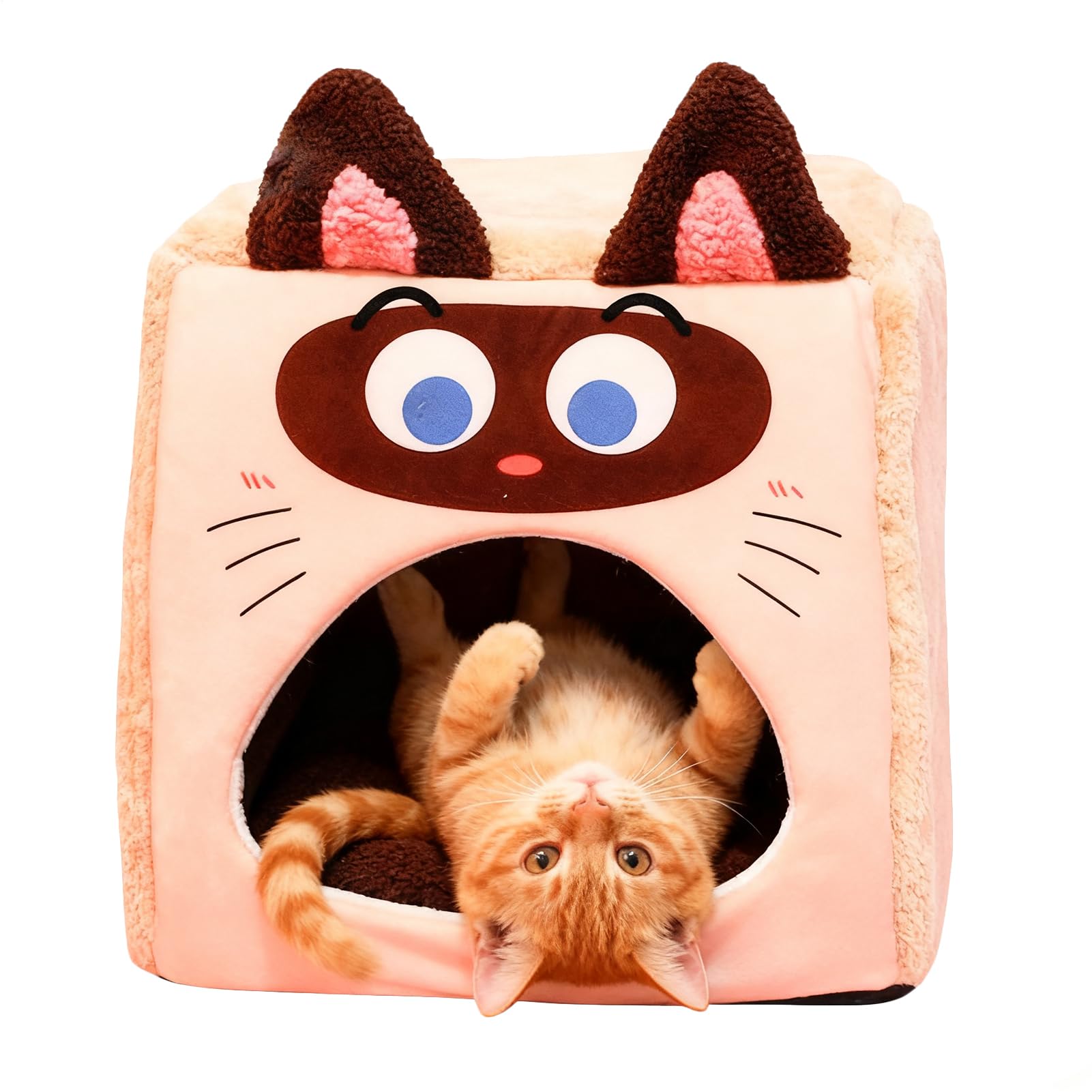 Nichoir d'intérieur pour chat lit doux et tente de couchage chaude animal