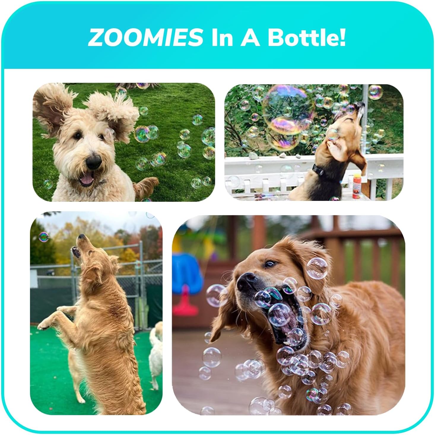Bubble Lick Peanut Butter and Maple Bacon Flavored Bubbles 4 Pack USA Made for Dogs Groomers Daycare
