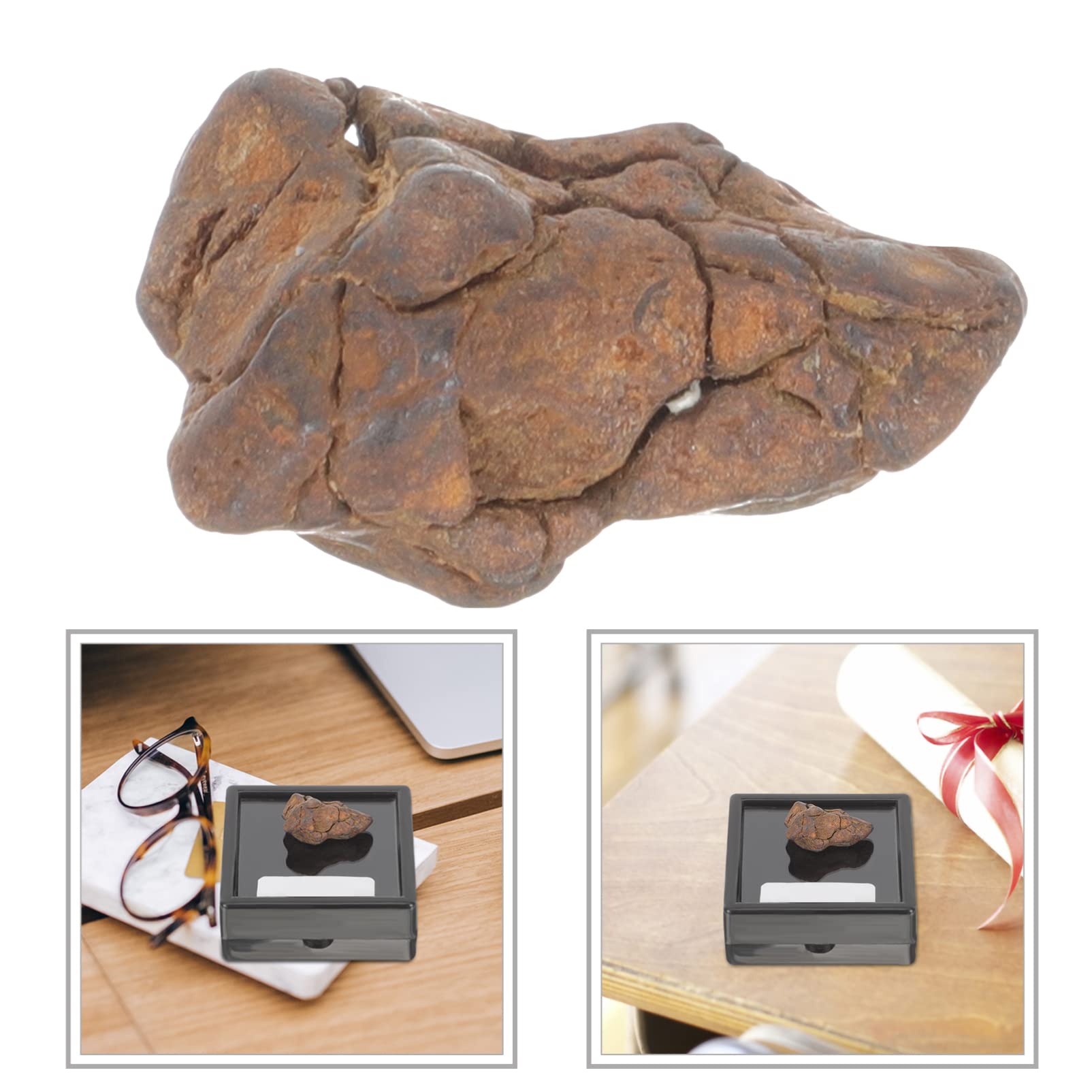 Toyvian Pequeñas Rocas De Meteorito Real Espécimen De Litosiderita Estudio De Las Estrellas Lunar Espécimen De Minerales De Rocas Lunares Herramienta Niño Comedor