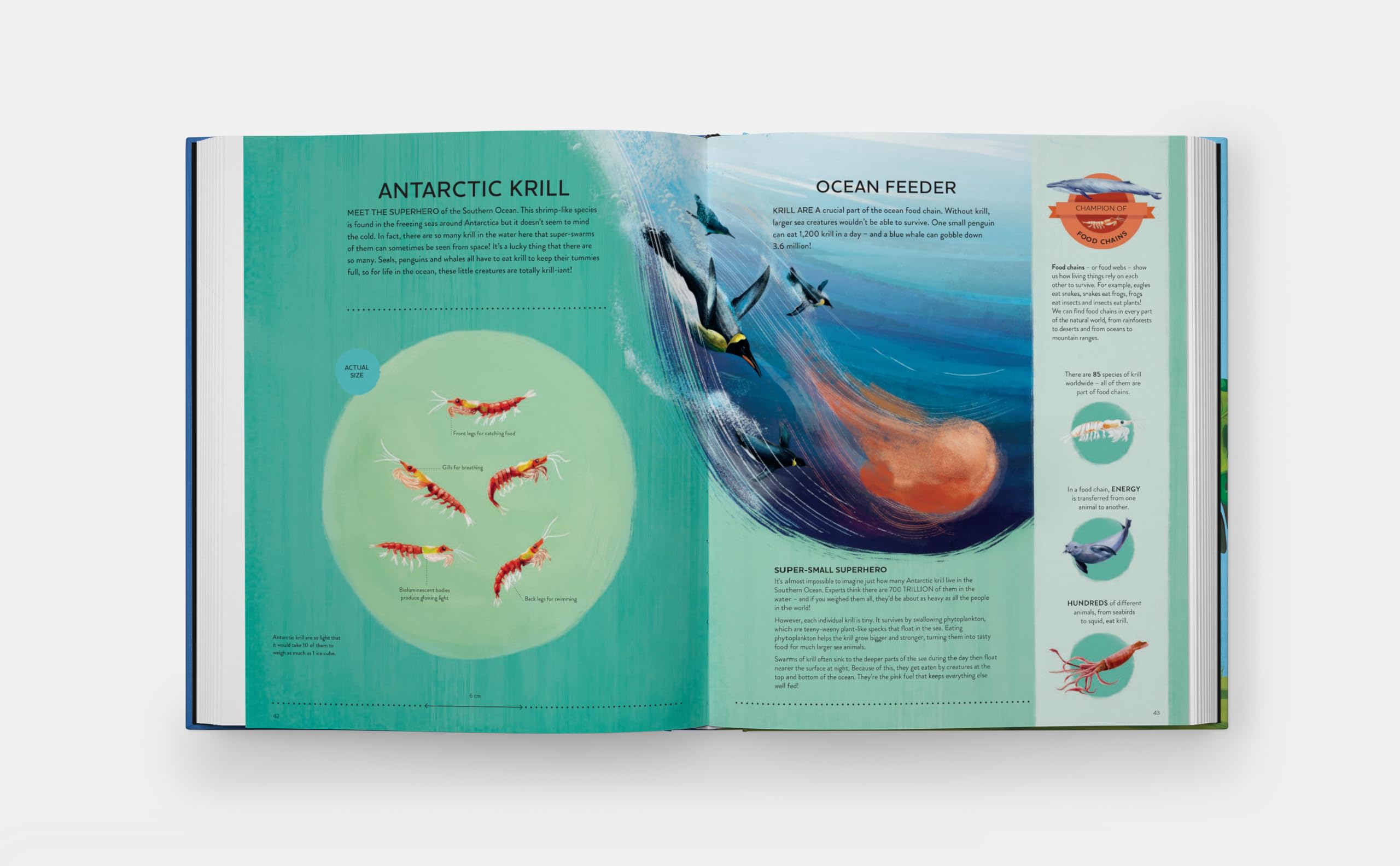 Nature's tiny champions: The Big Book of Little Creatures Doing Mighty Things