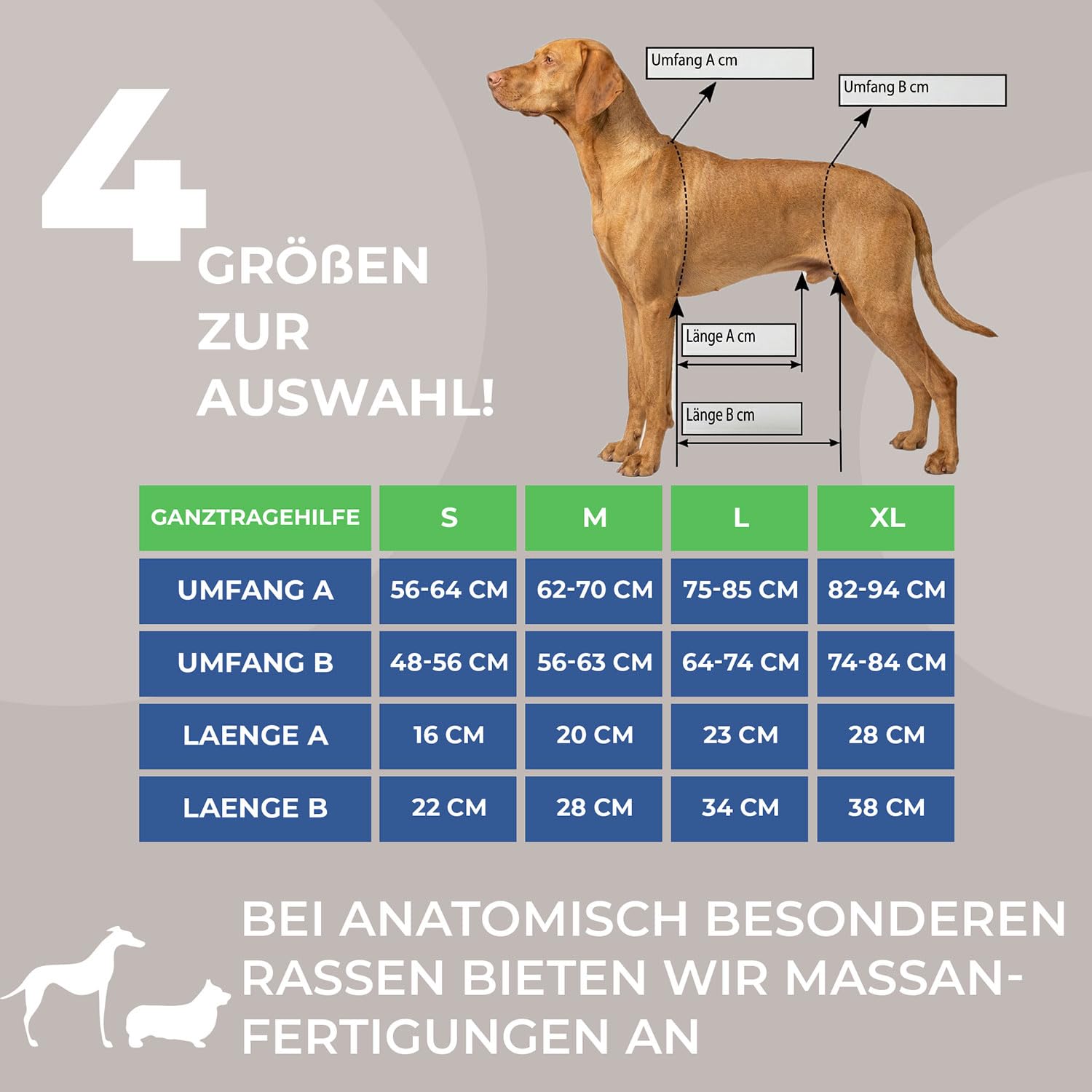 NATURE PET Hunde TRAGEHILFE GANZKÖRPER – Tragehilfe für Hund in Groß mit gepolstertem Hundetragegurt aus 4mm Neopren – Hebegeschirr für Reha, Treppen & Auto – verstellbar & stabil – Größe XL