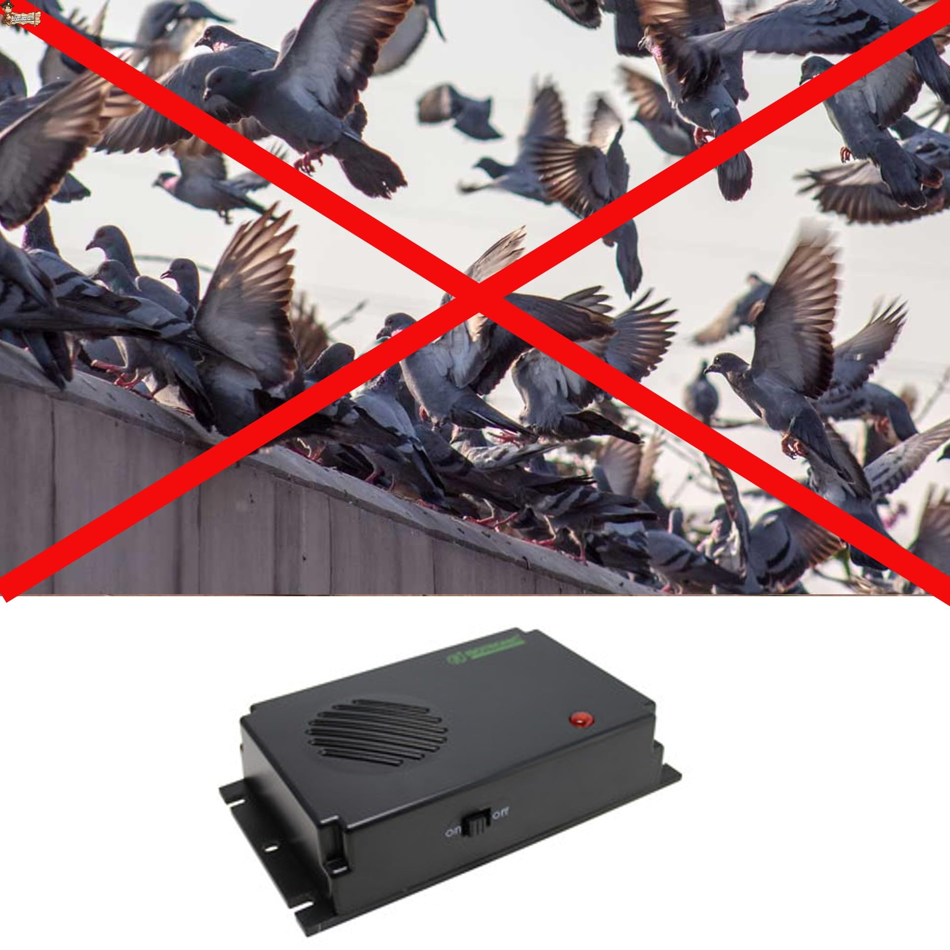 BricoLoco.com Ahuyentador espanta pájaros por ultrasonido. Pack 3x40 m2. Repelente Anti Palomas. Exterior o Interior. Más fácil Que Pinchos, más eficaz Que búhos. Pilas NO Incluidas (3, SIN Pilas)