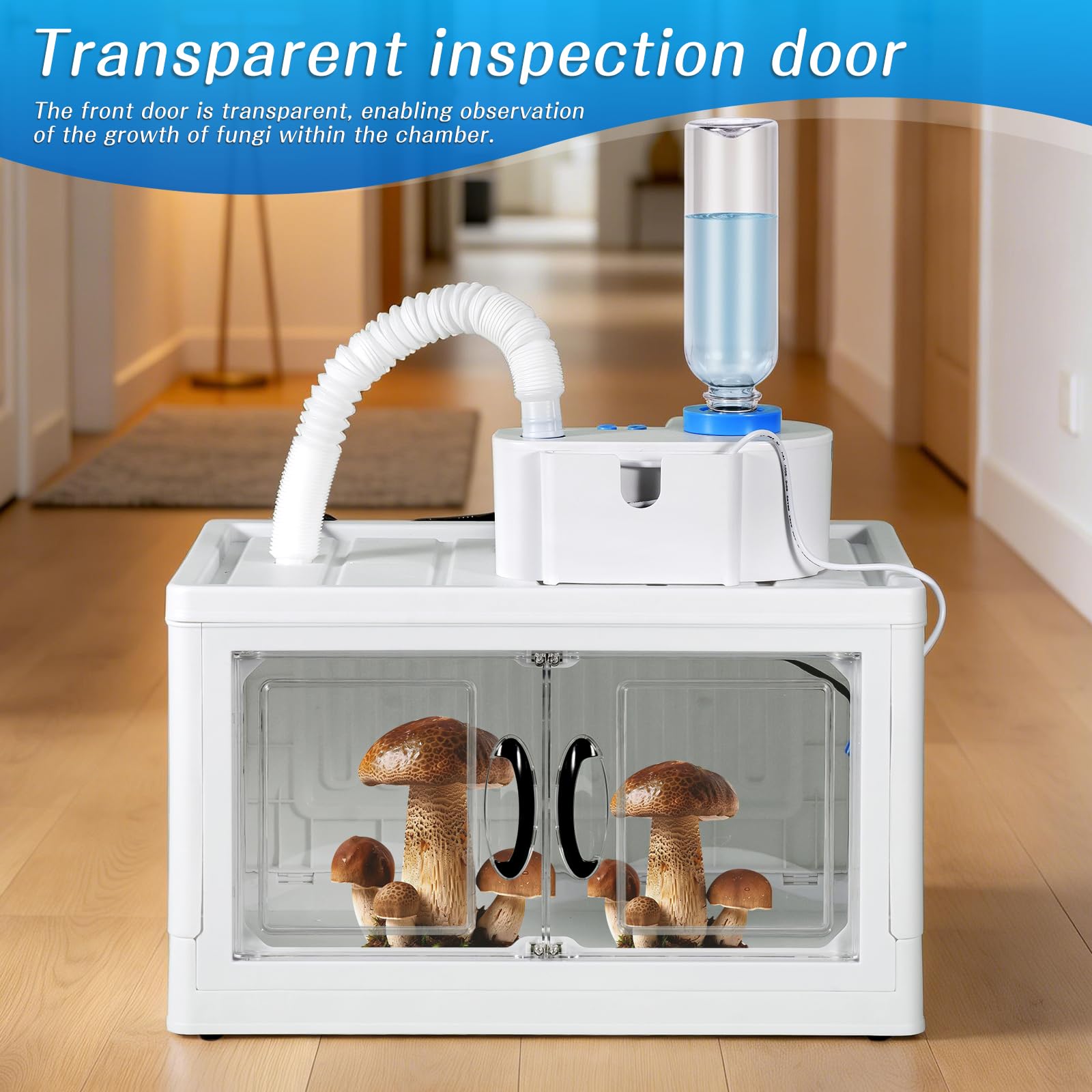Boîte de culture de champignons avec affichage de l'humidité - Kit de pépinière de champignons - Kit de pépinière de champignons abordable pour champignons d'intérieur