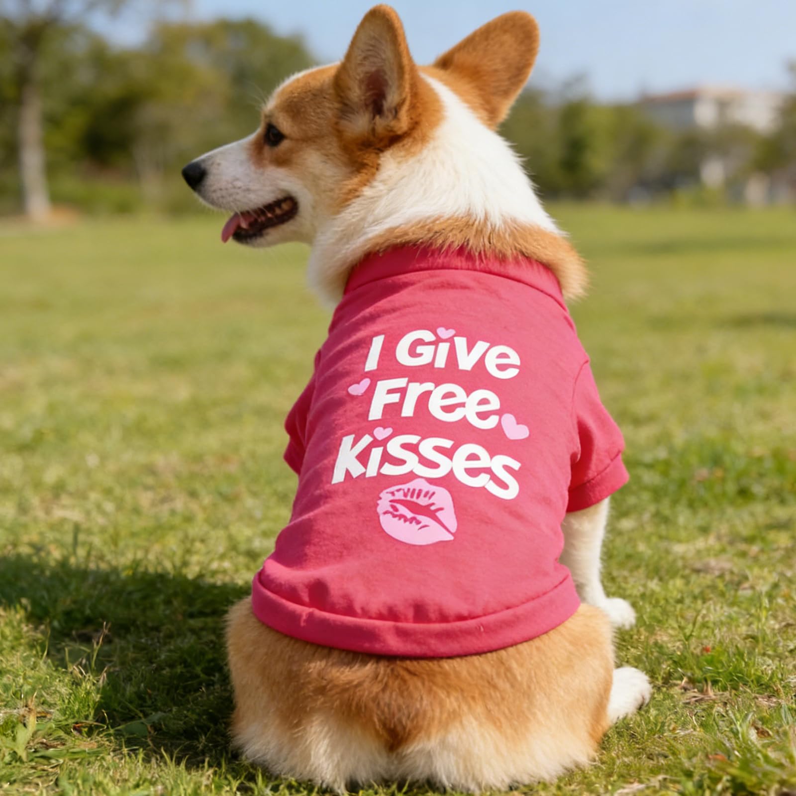 Estati Gilet Fresco Traspirante Senza Maniche per Cani Cuccioli Abbigliamento Pet Stampato Divertente